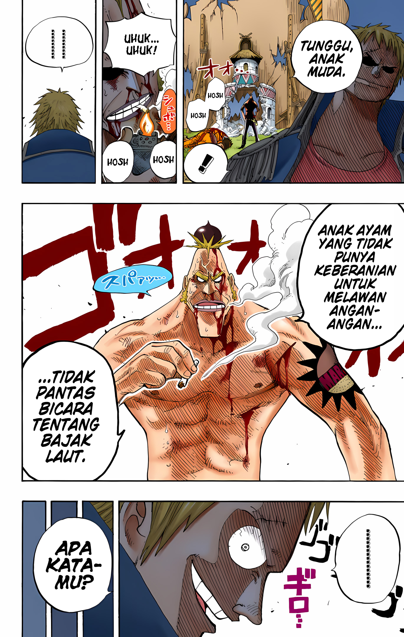 One Piece (Official Colored) Chapter 231 - halaman 14