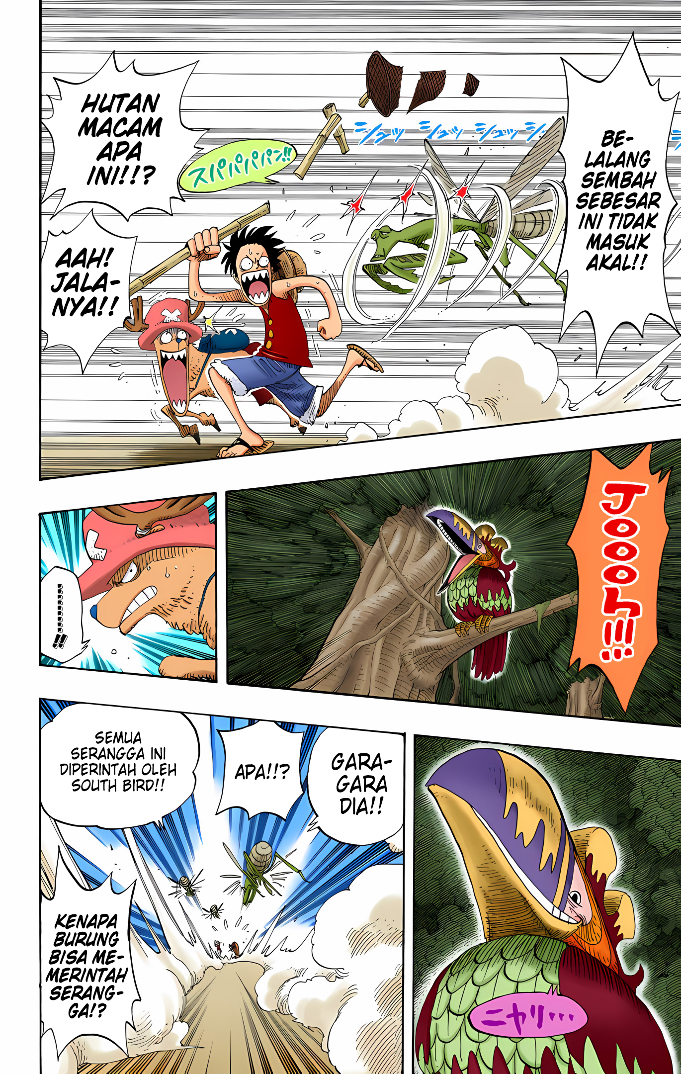One Piece (Official Colored) Chapter 231 - halaman 4