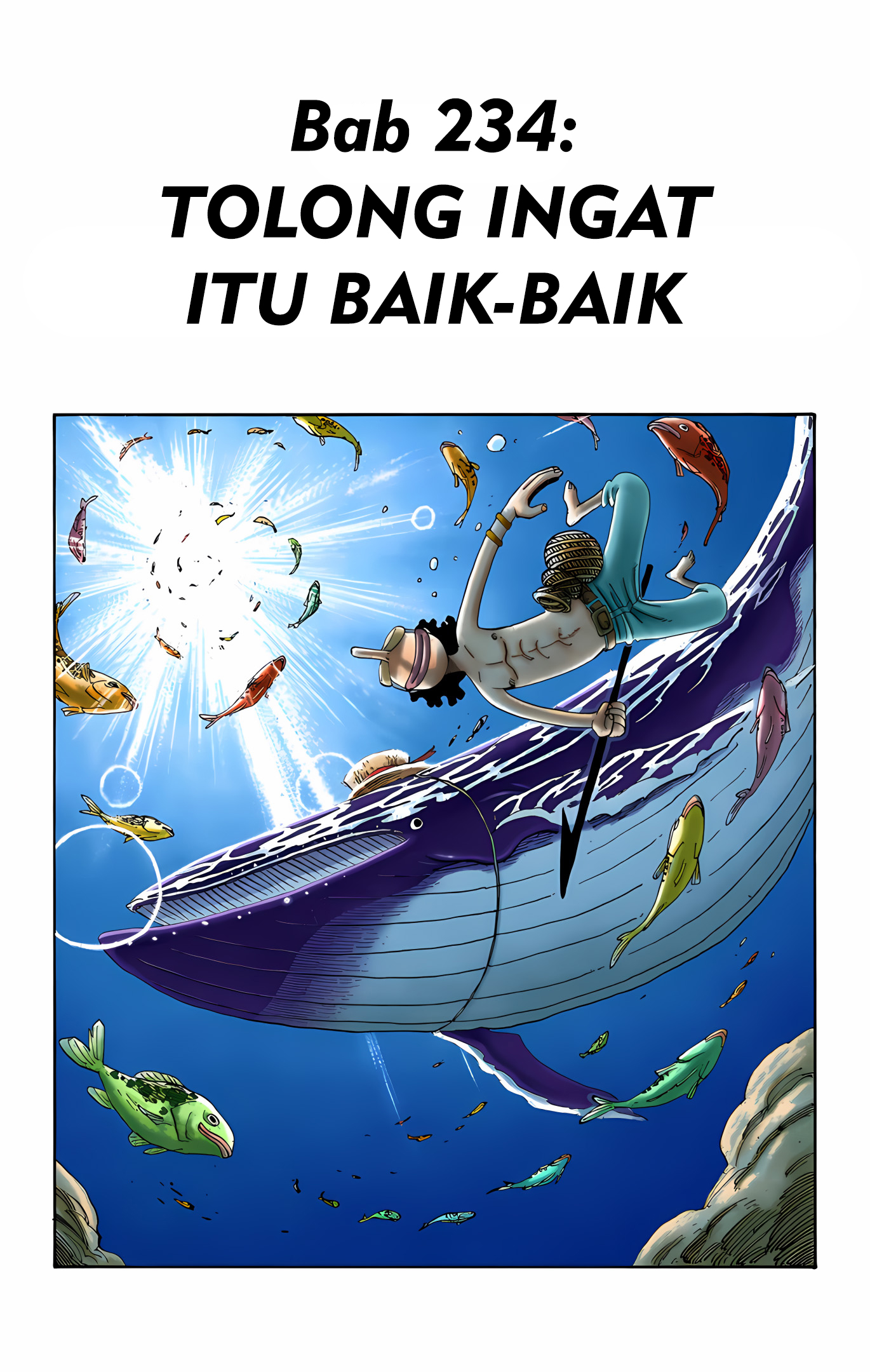 One Piece (Official Colored) Chapter 234 - halaman 1