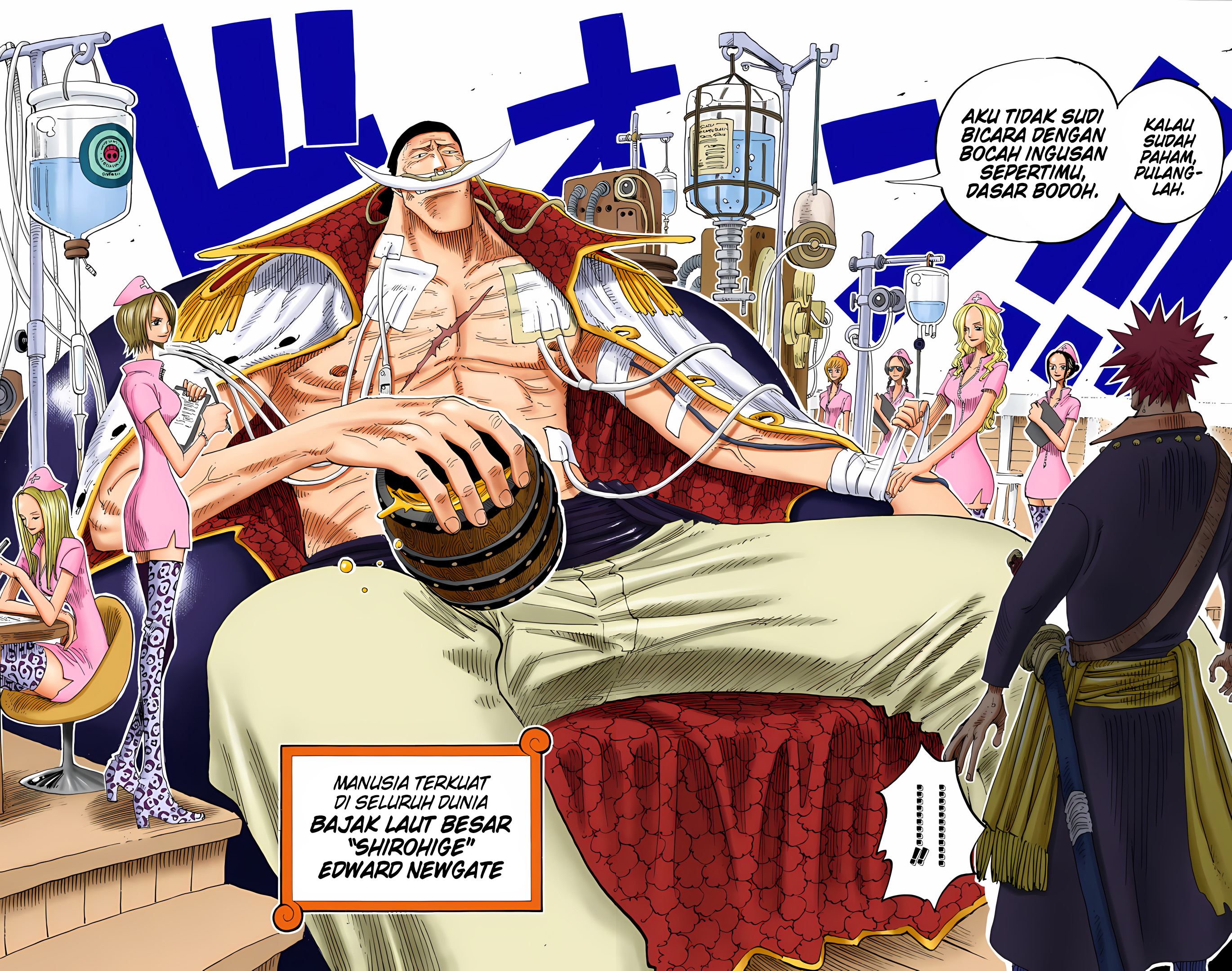 One Piece (Official Colored) Chapter 234 - halaman 12