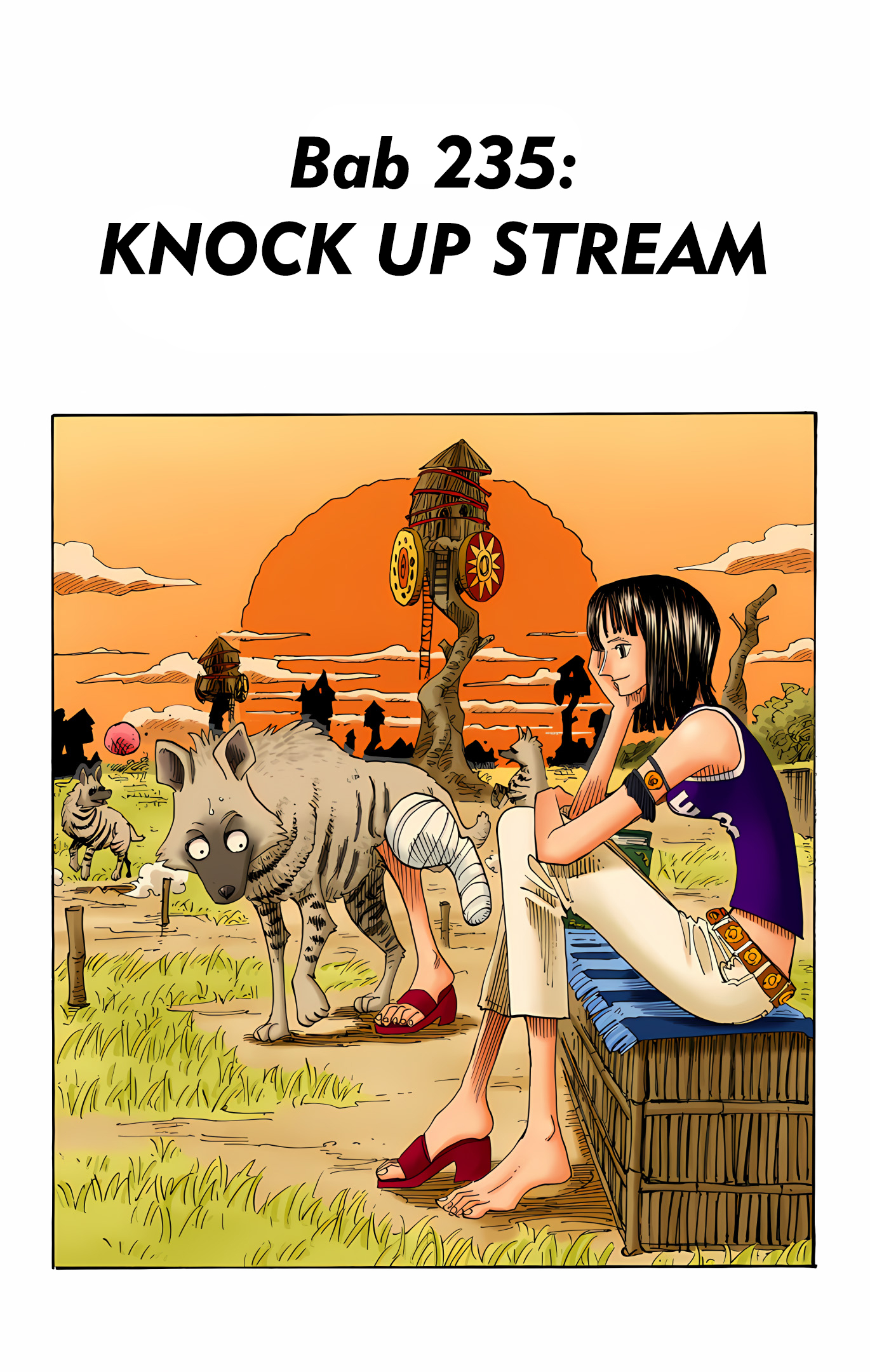 One Piece (Official Colored) Chapter 235 - halaman 1
