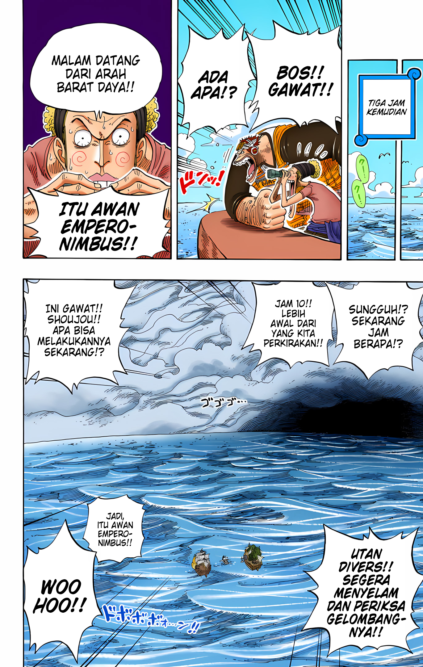 One Piece (Official Colored) Chapter 235 - halaman 14