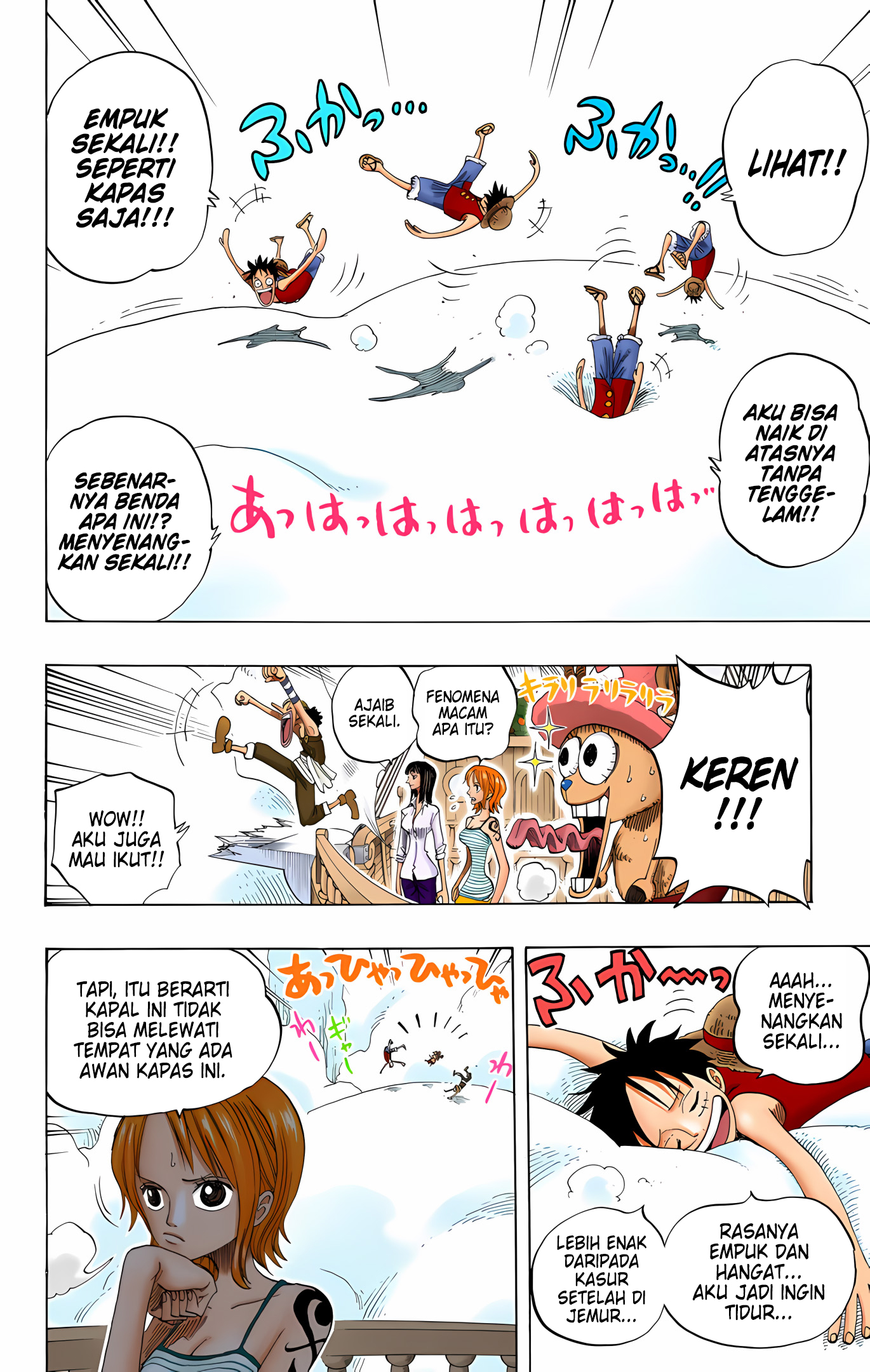 One Piece (Official Colored) Chapter 238 - halaman 12