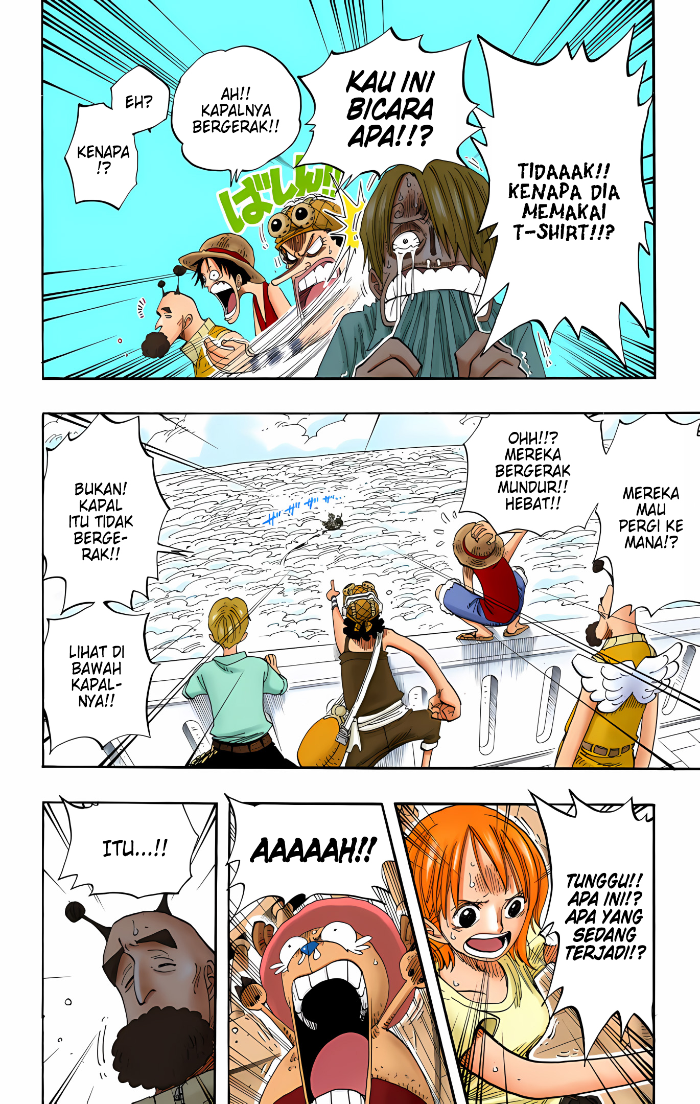One Piece (Official Colored) Chapter 243 - halaman 10