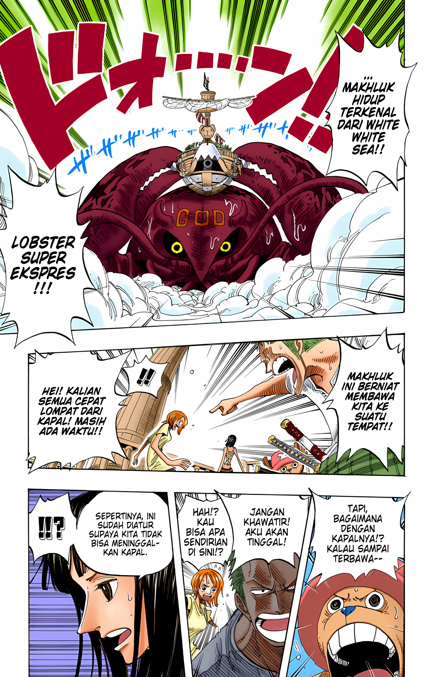 One Piece (Official Colored) Chapter 243 - halaman 11