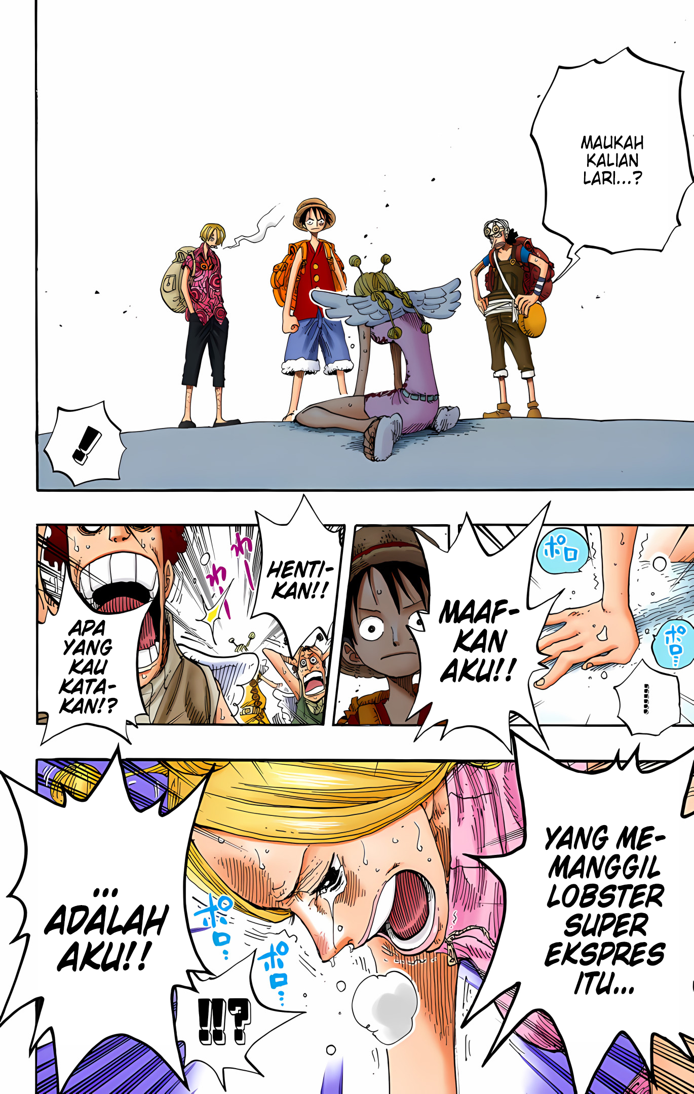 One Piece (Official Colored) Chapter 244 - halaman 12