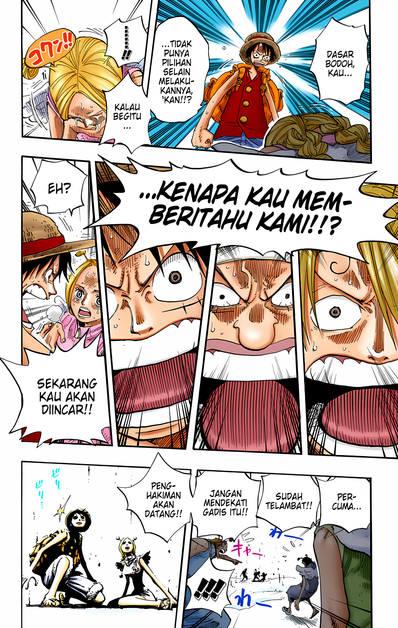 One Piece (Official Colored) Chapter 244 - halaman 14