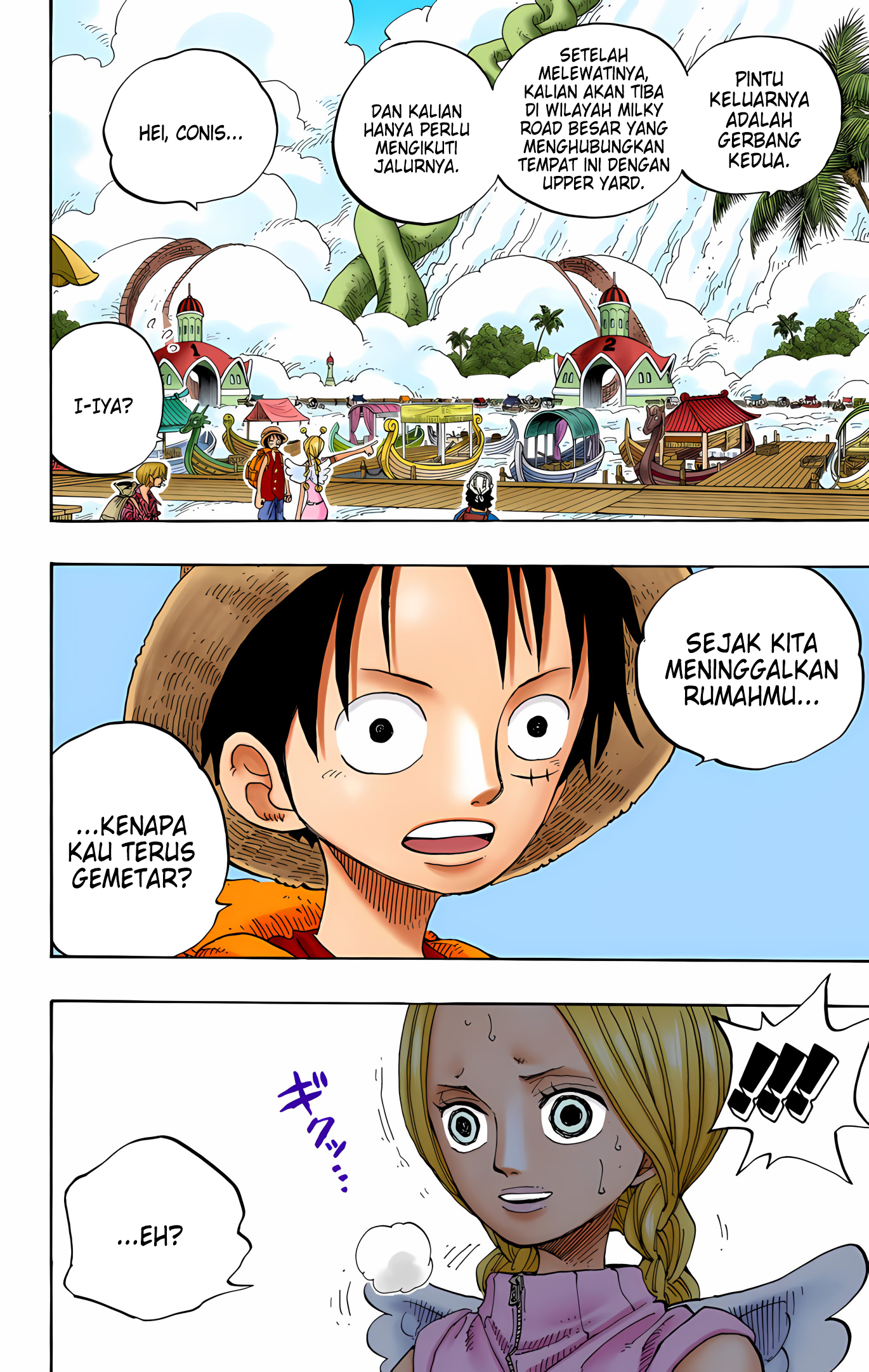 One Piece (Official Colored) Chapter 244 - halaman 8