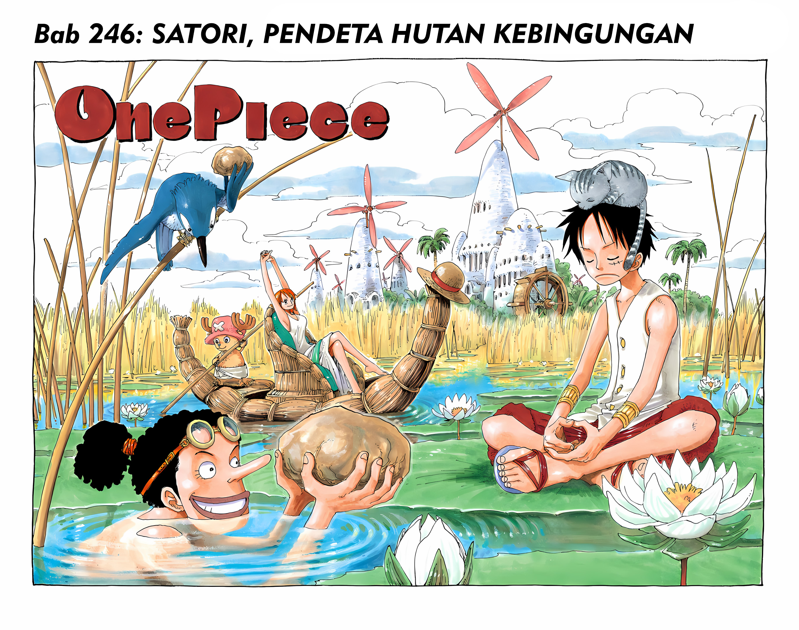 One Piece (Official Colored) Chapter 246 - halaman 1