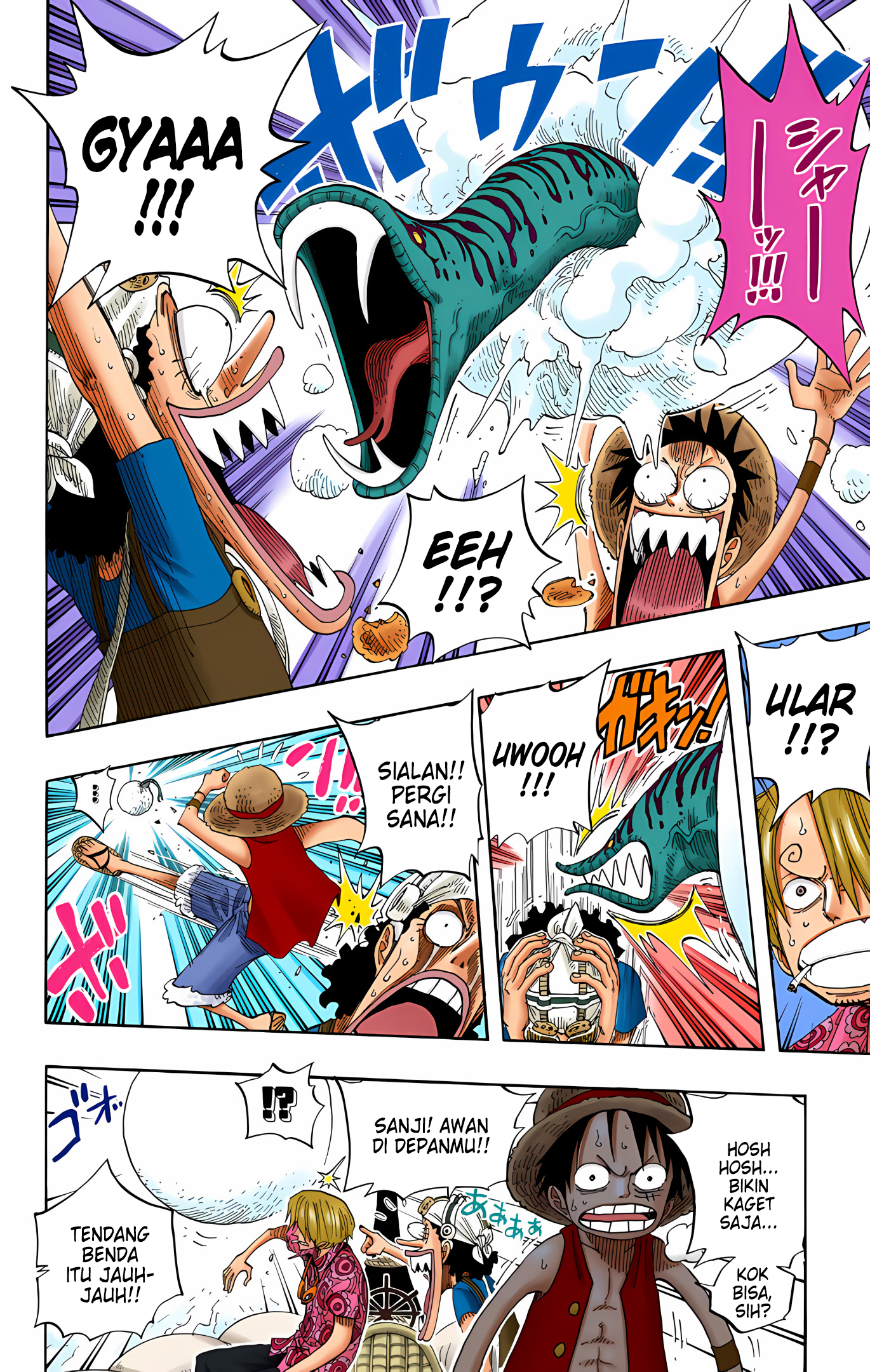 One Piece (Official Colored) Chapter 246 - halaman 10