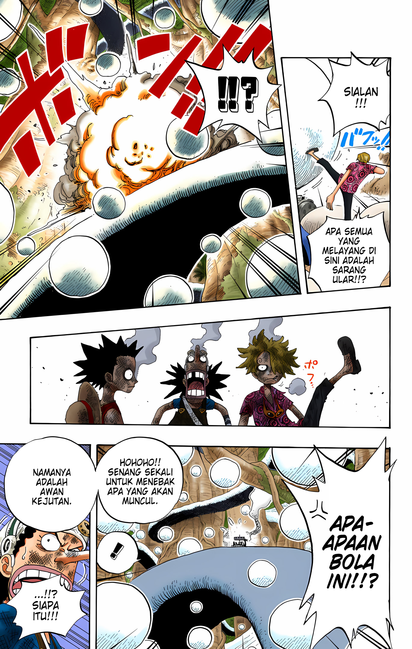 One Piece (Official Colored) Chapter 246 - halaman 11
