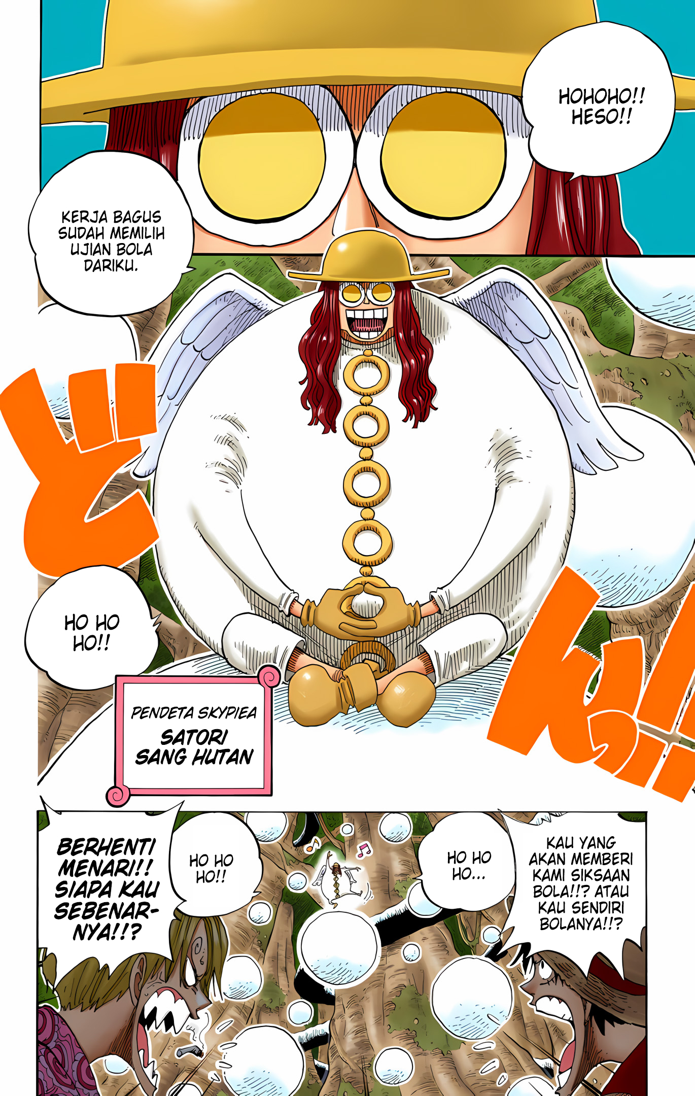 One Piece (Official Colored) Chapter 246 - halaman 12