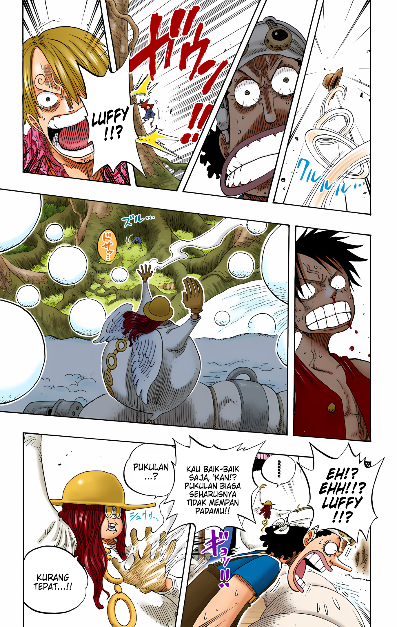 One Piece (Official Colored) Chapter 246 - halaman 15