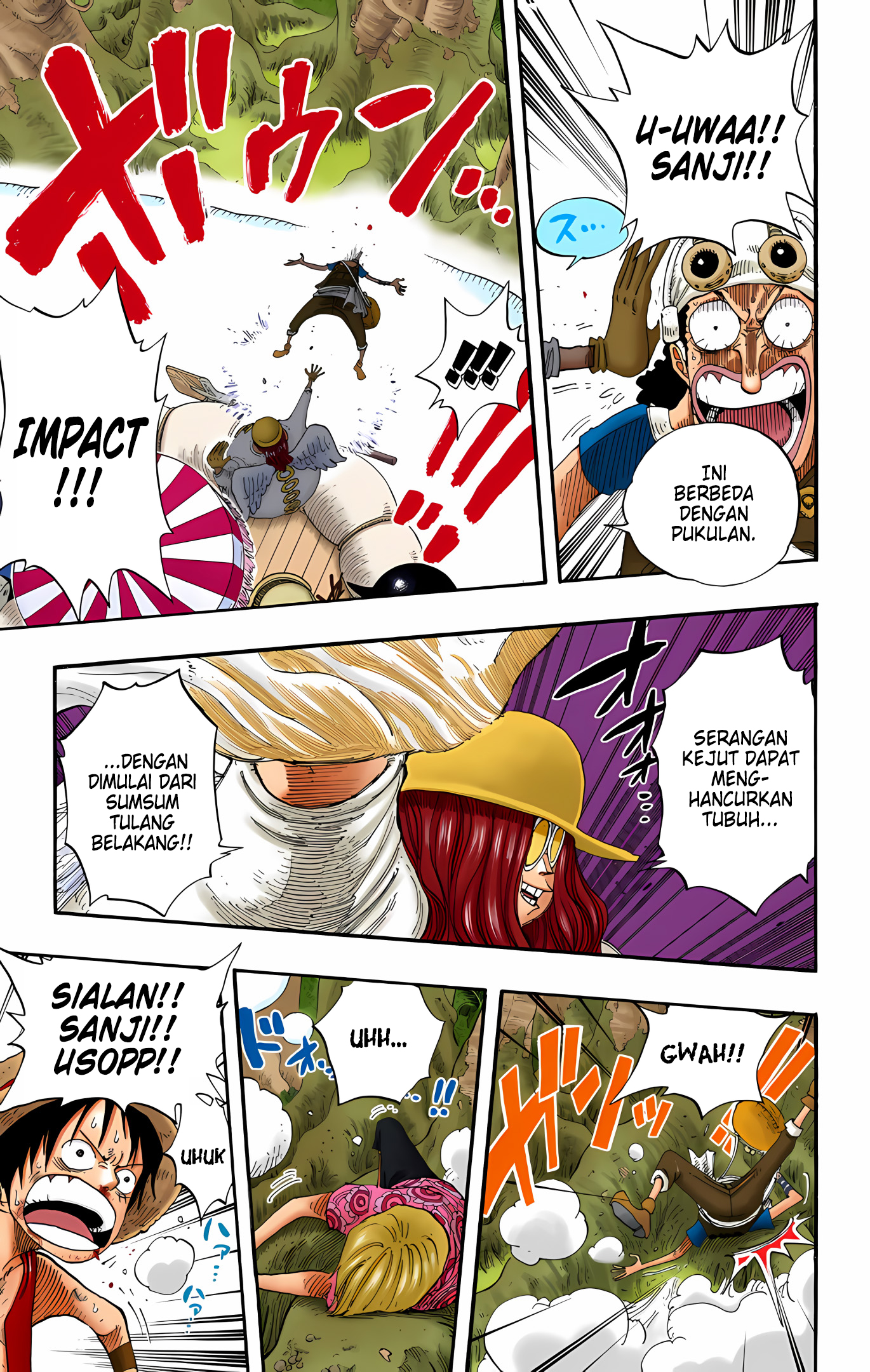 One Piece (Official Colored) Chapter 246 - halaman 17
