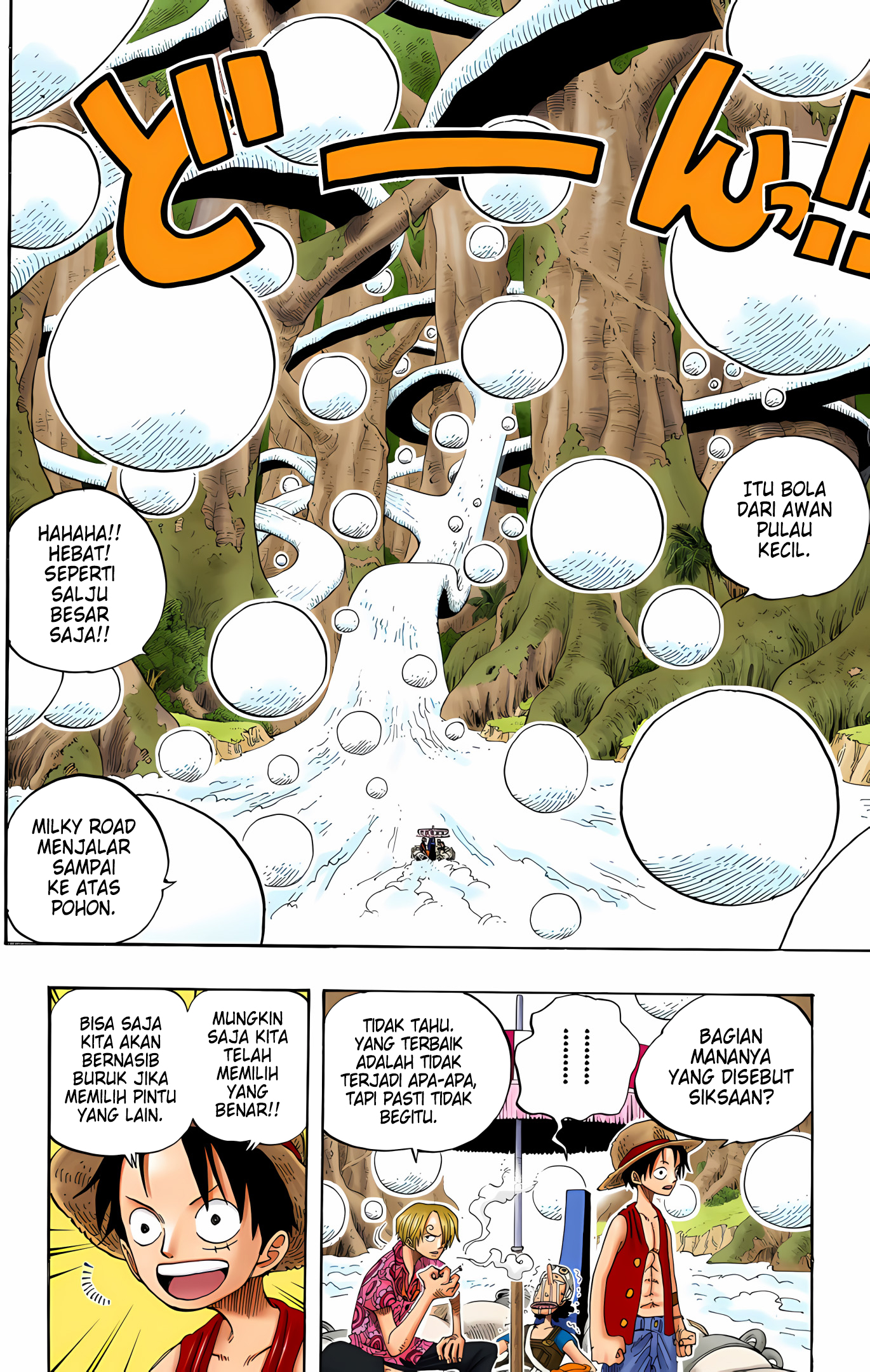 One Piece (Official Colored) Chapter 246 - halaman 8