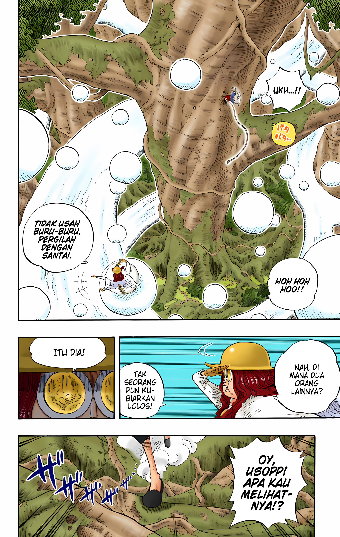 One Piece (Official Colored) Chapter 247 - halaman 10