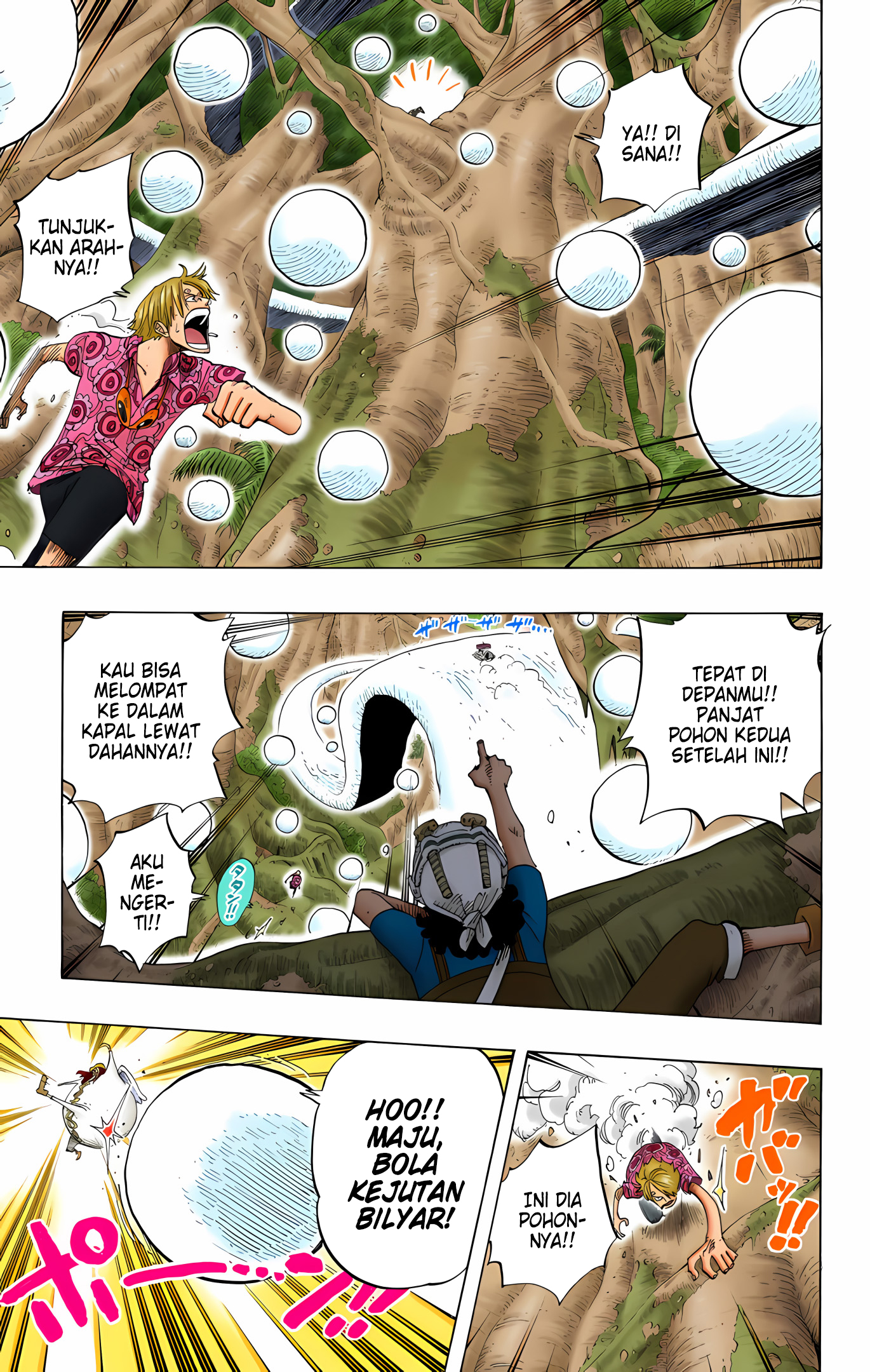One Piece (Official Colored) Chapter 247 - halaman 11