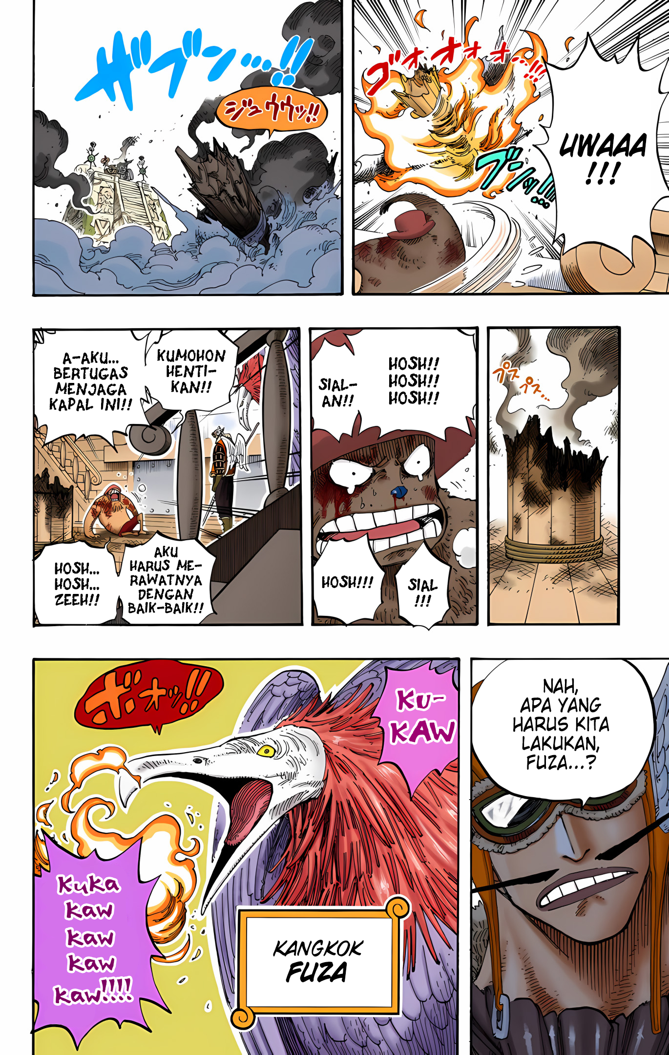 One Piece (Official Colored) Chapter 248 - halaman 10