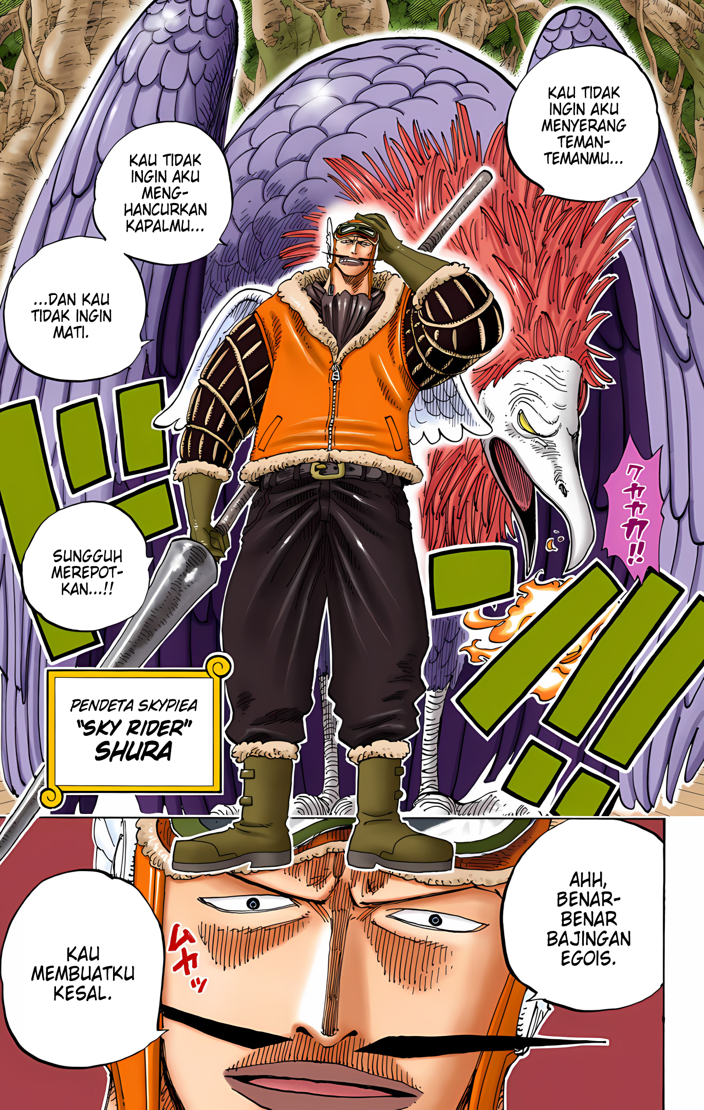 One Piece (Official Colored) Chapter 248 - halaman 11