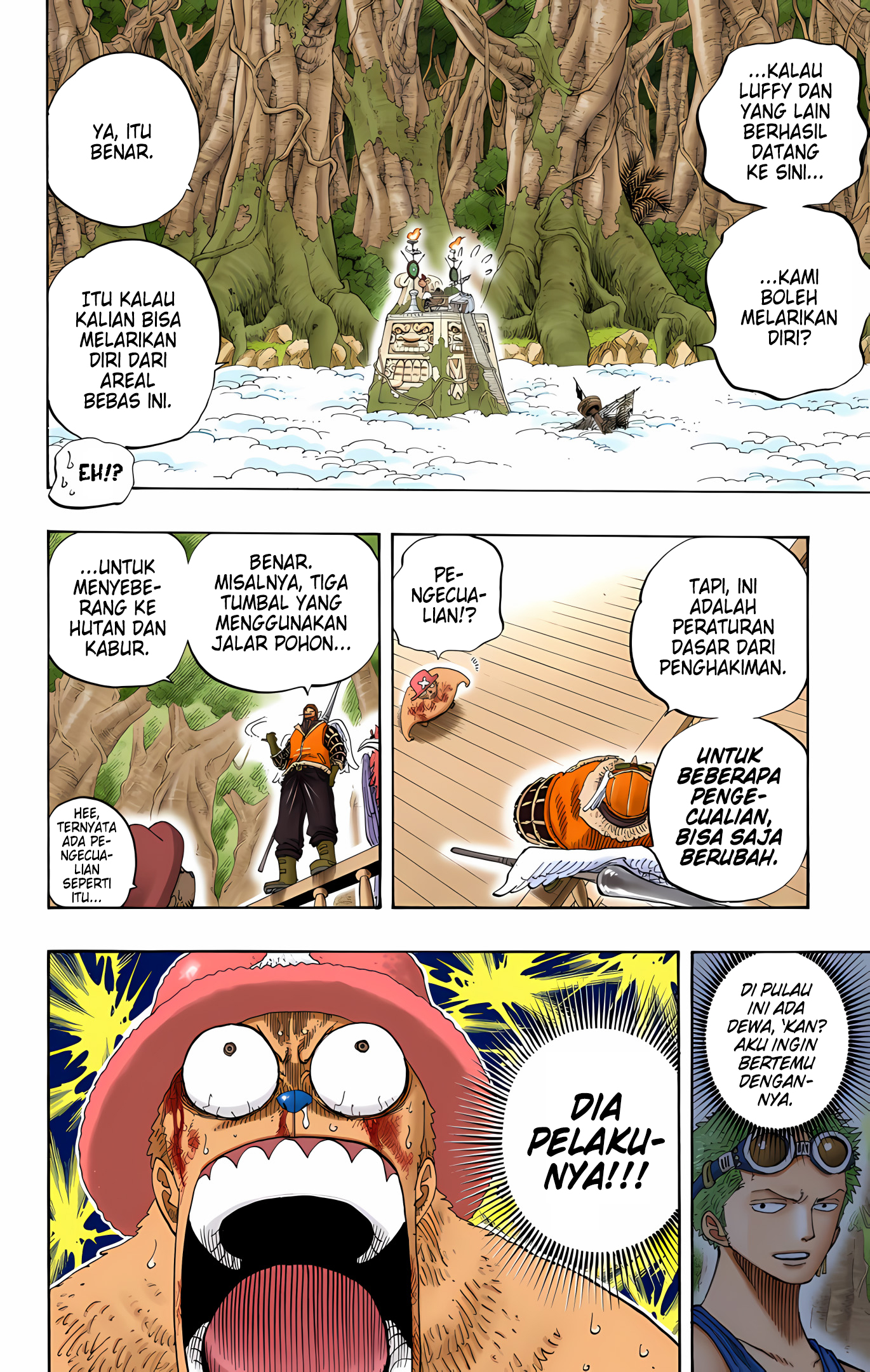 One Piece (Official Colored) Chapter 248 - halaman 14