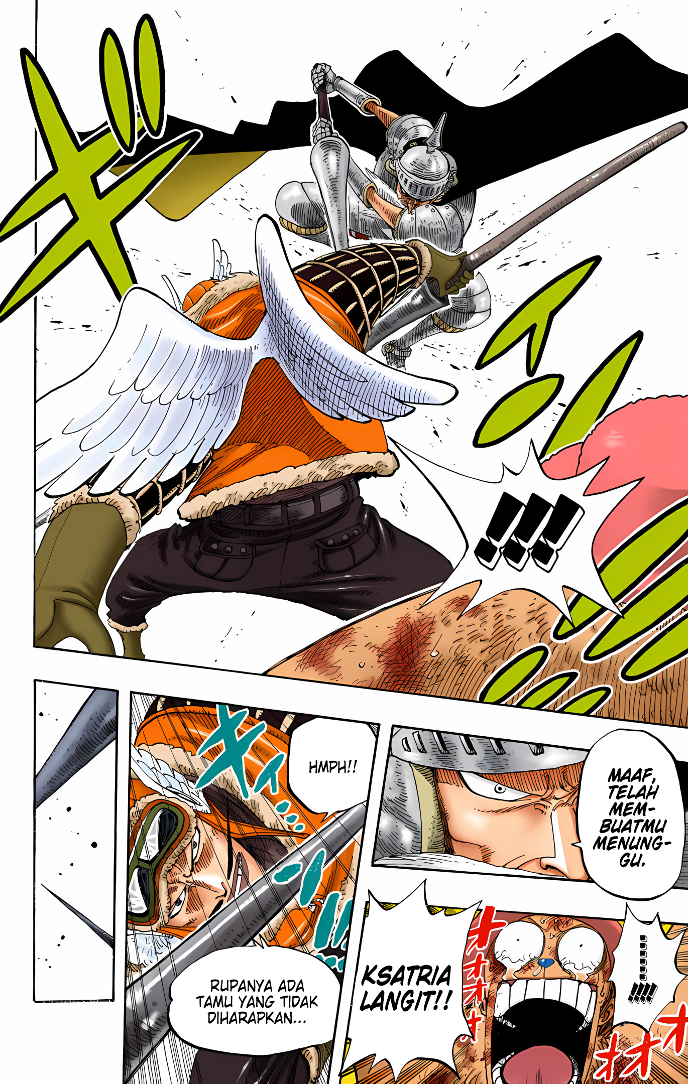 One Piece (Official Colored) Chapter 248 - halaman 16