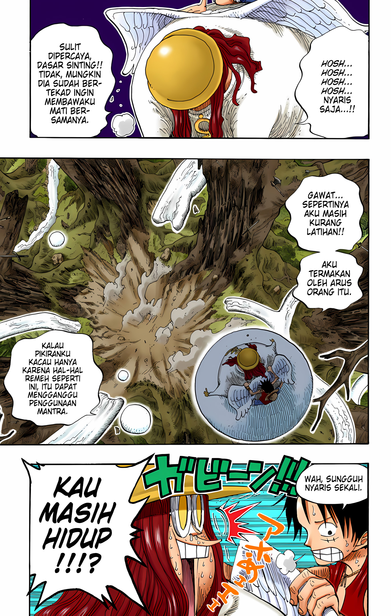 One Piece (Official Colored) Chapter 250 - halaman 13