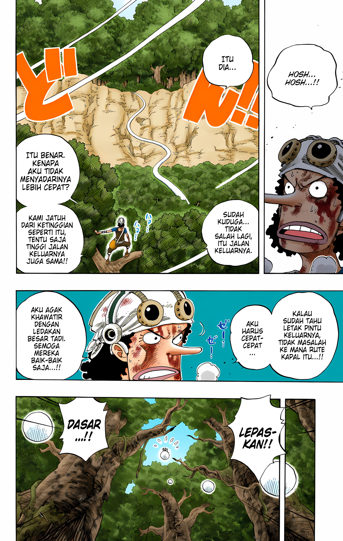 One Piece (Official Colored) Chapter 250 - halaman 14