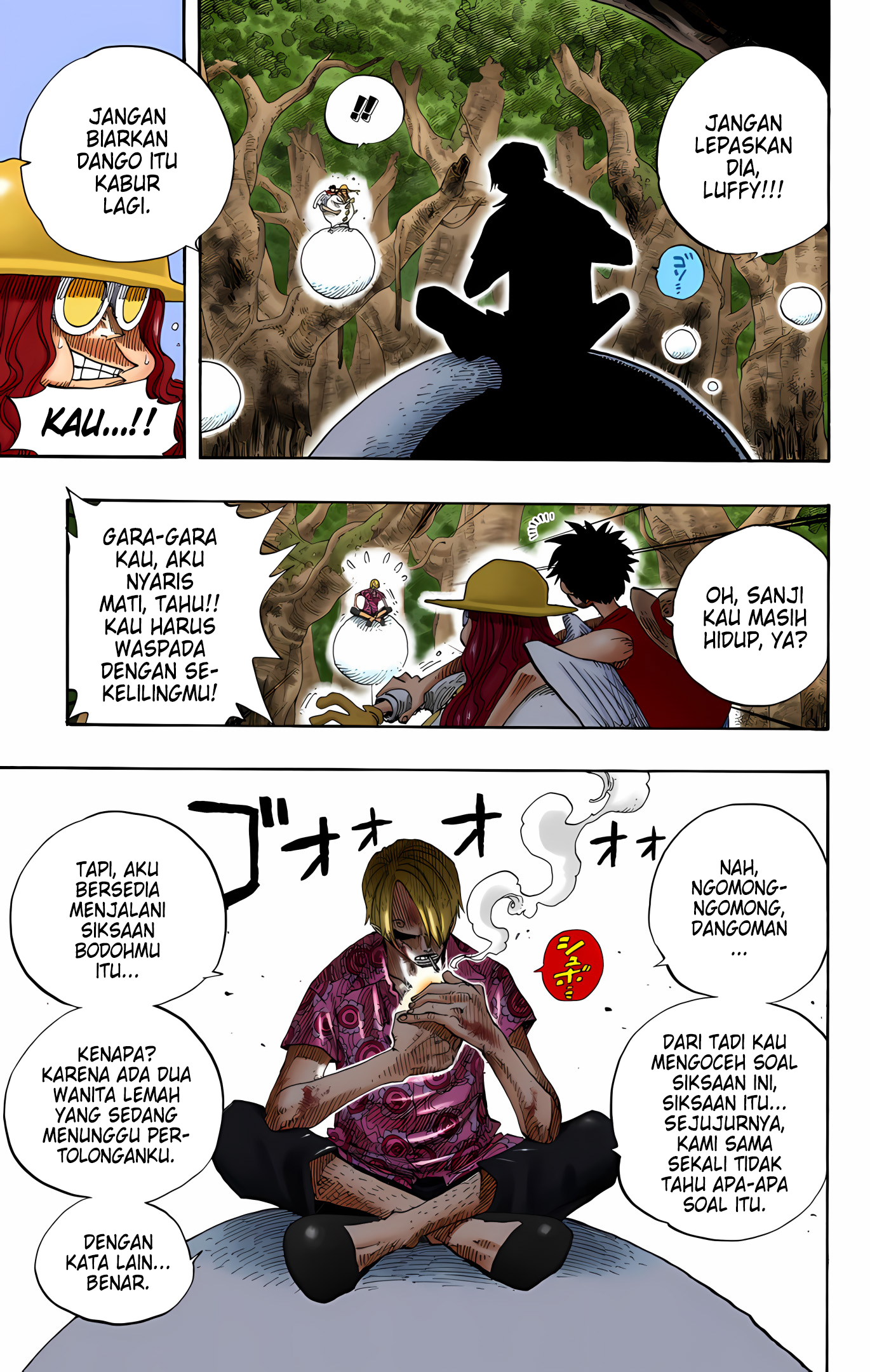 One Piece (Official Colored) Chapter 250 - halaman 15