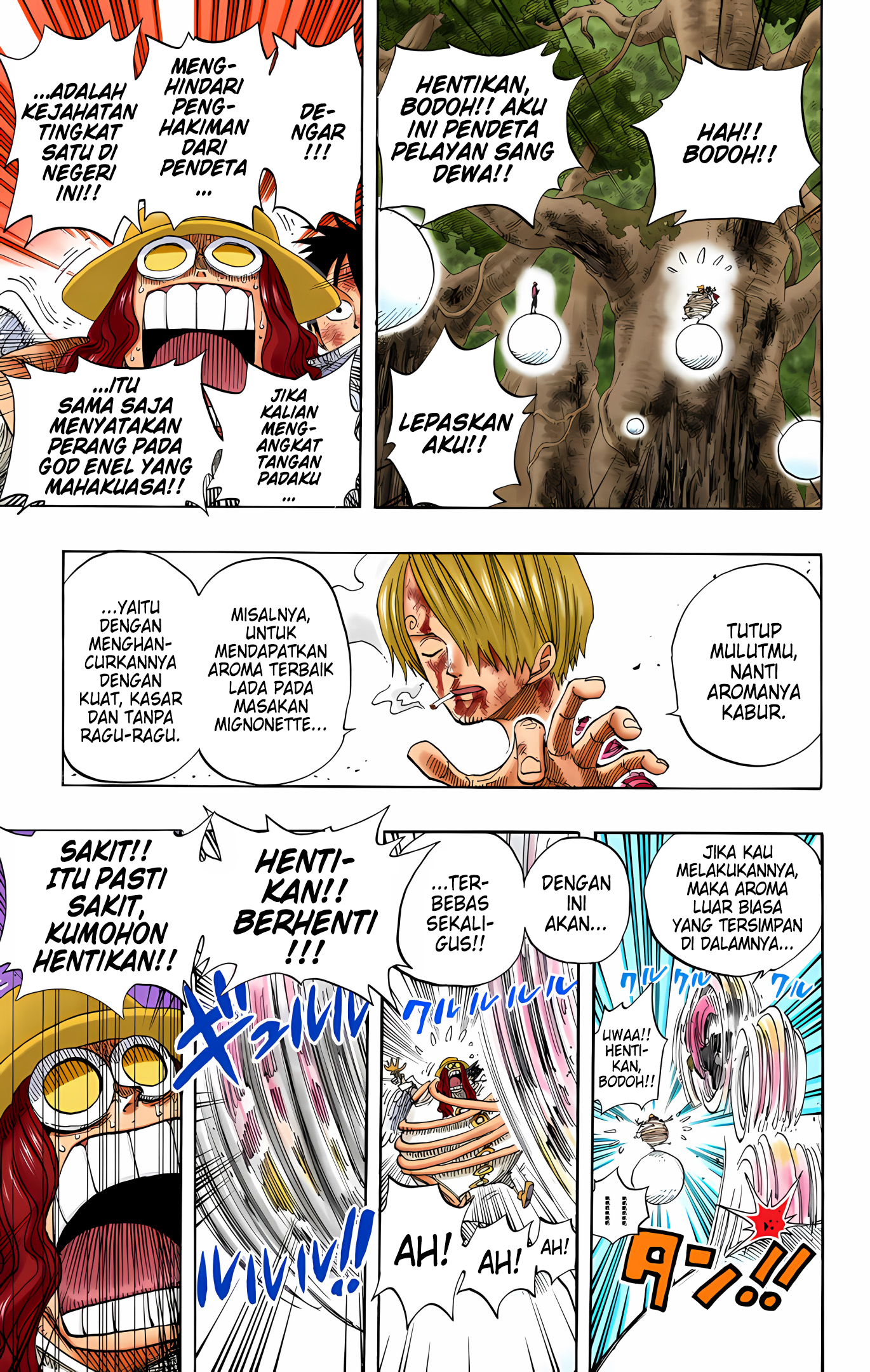 One Piece (Official Colored) Chapter 250 - halaman 17