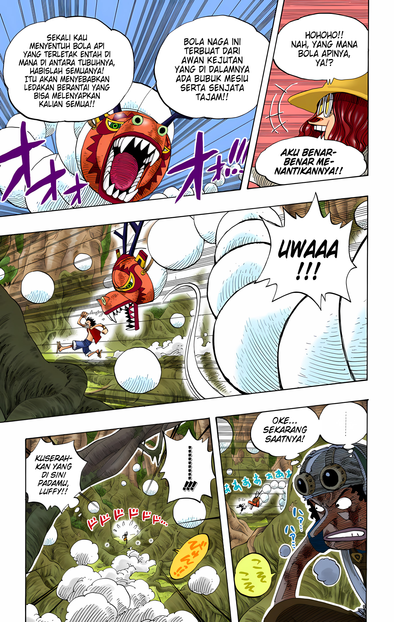 One Piece (Official Colored) Chapter 250 - halaman 9
