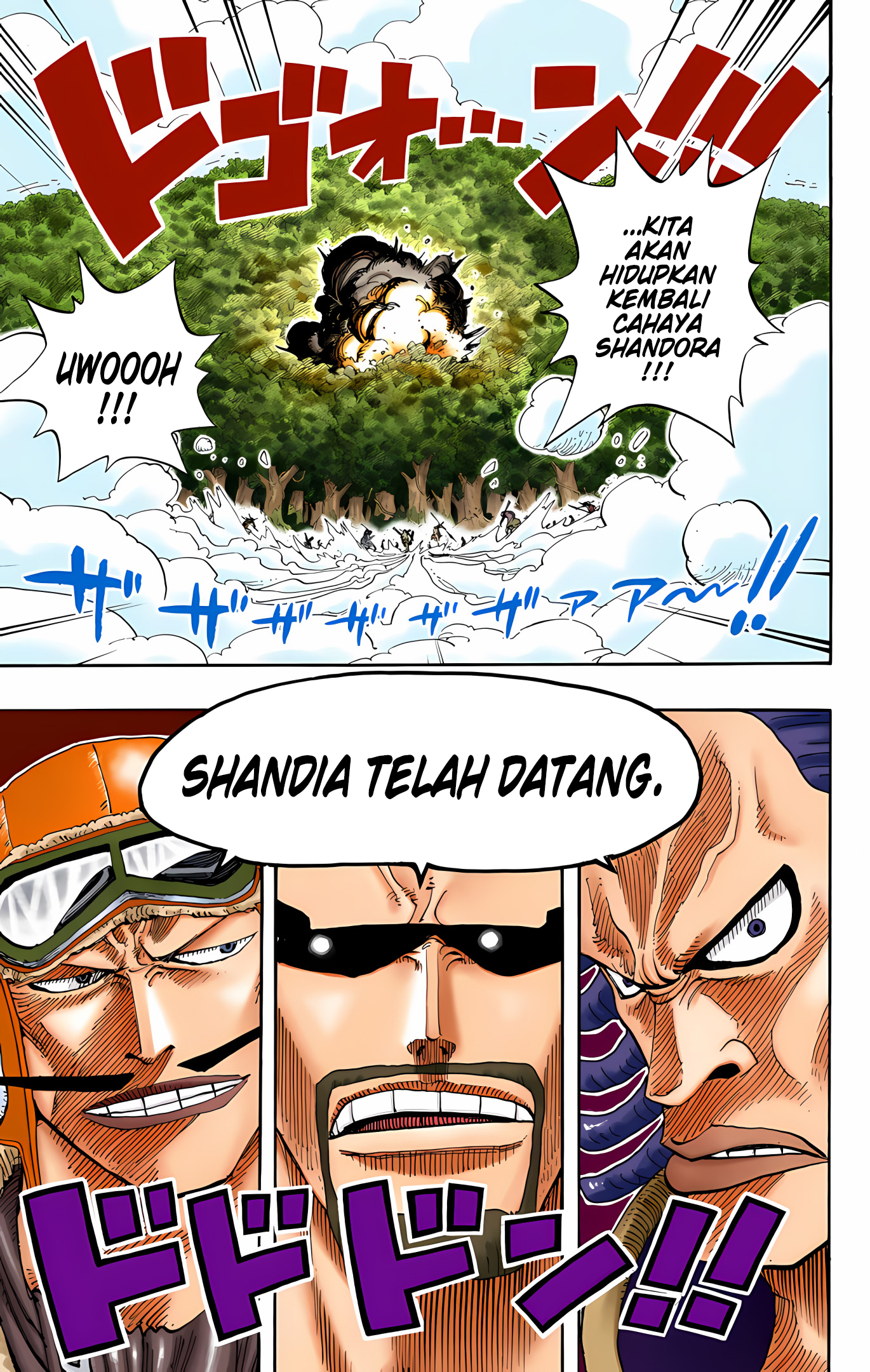 One Piece (Official Colored) Chapter 251 - halaman 13