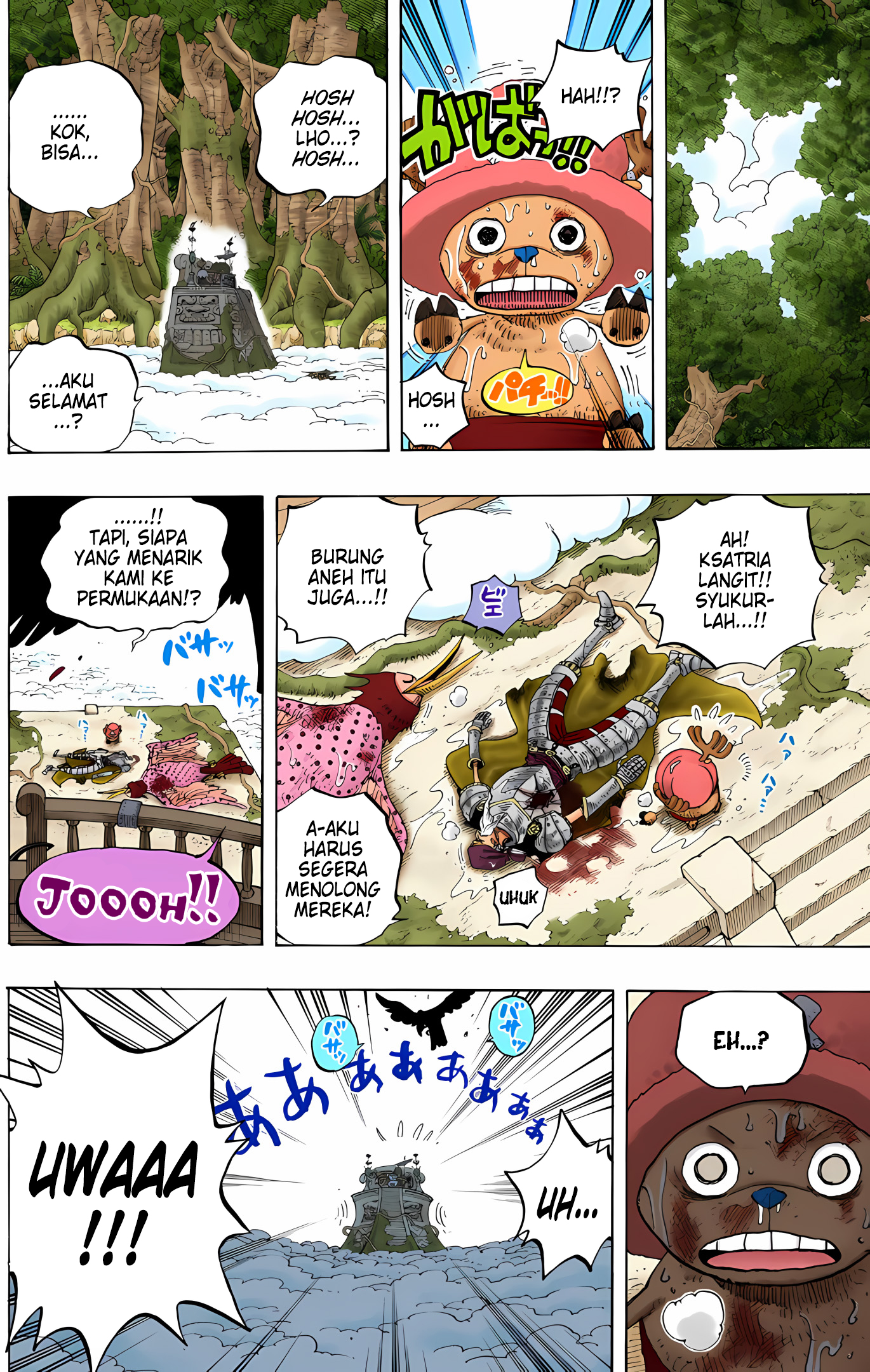 One Piece (Official Colored) Chapter 251 - halaman 14