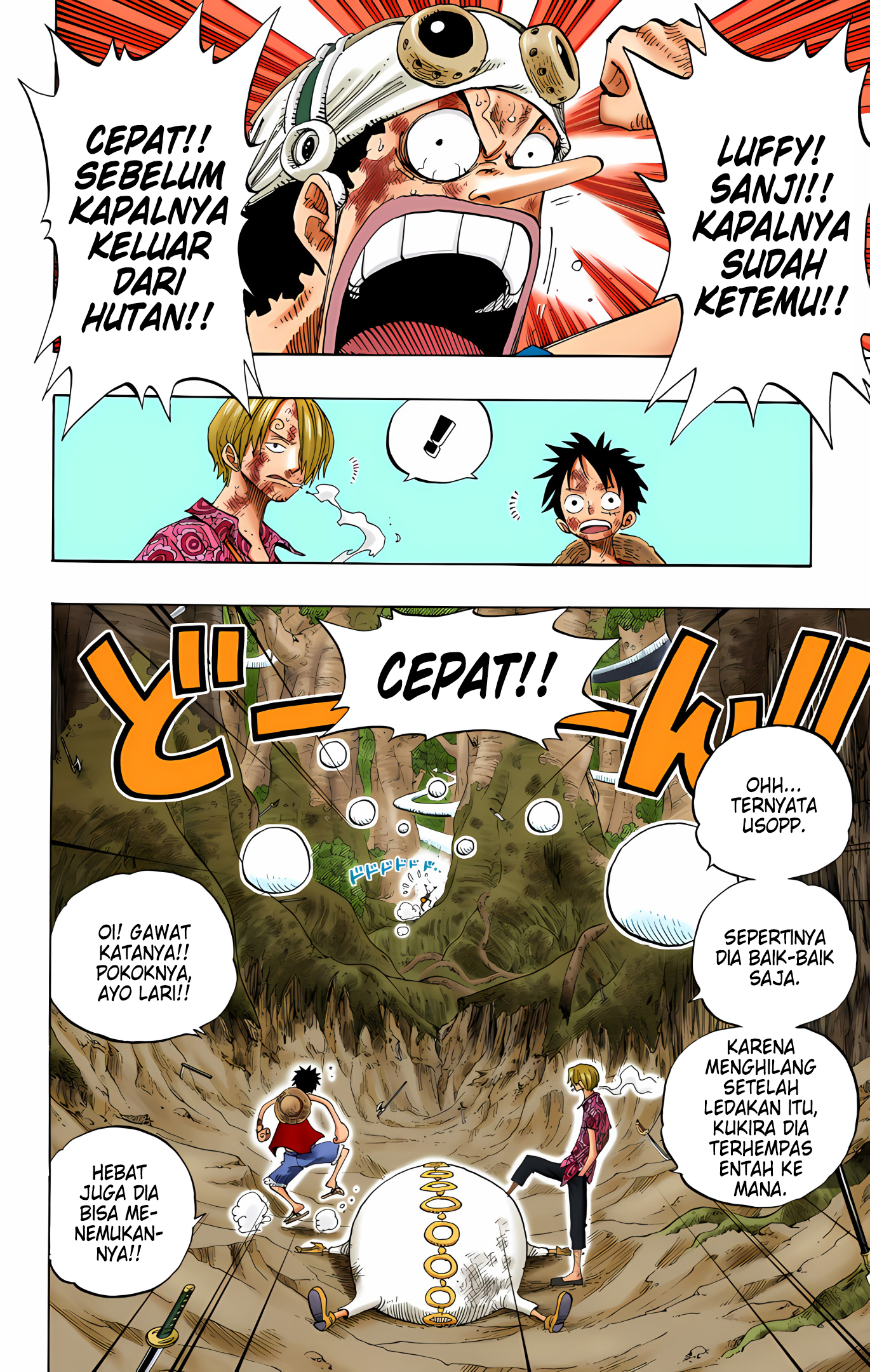 One Piece (Official Colored) Chapter 251 - halaman 4