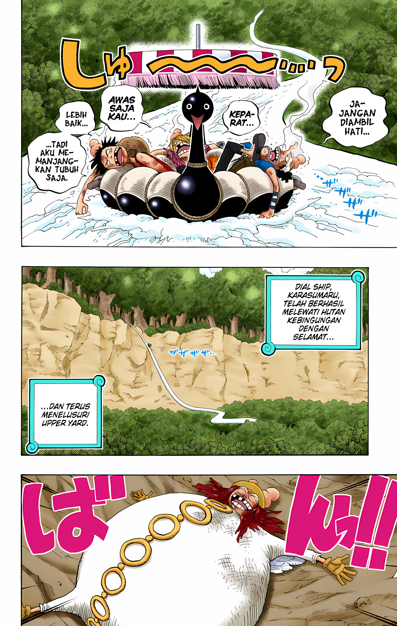 One Piece (Official Colored) Chapter 251 - halaman 6