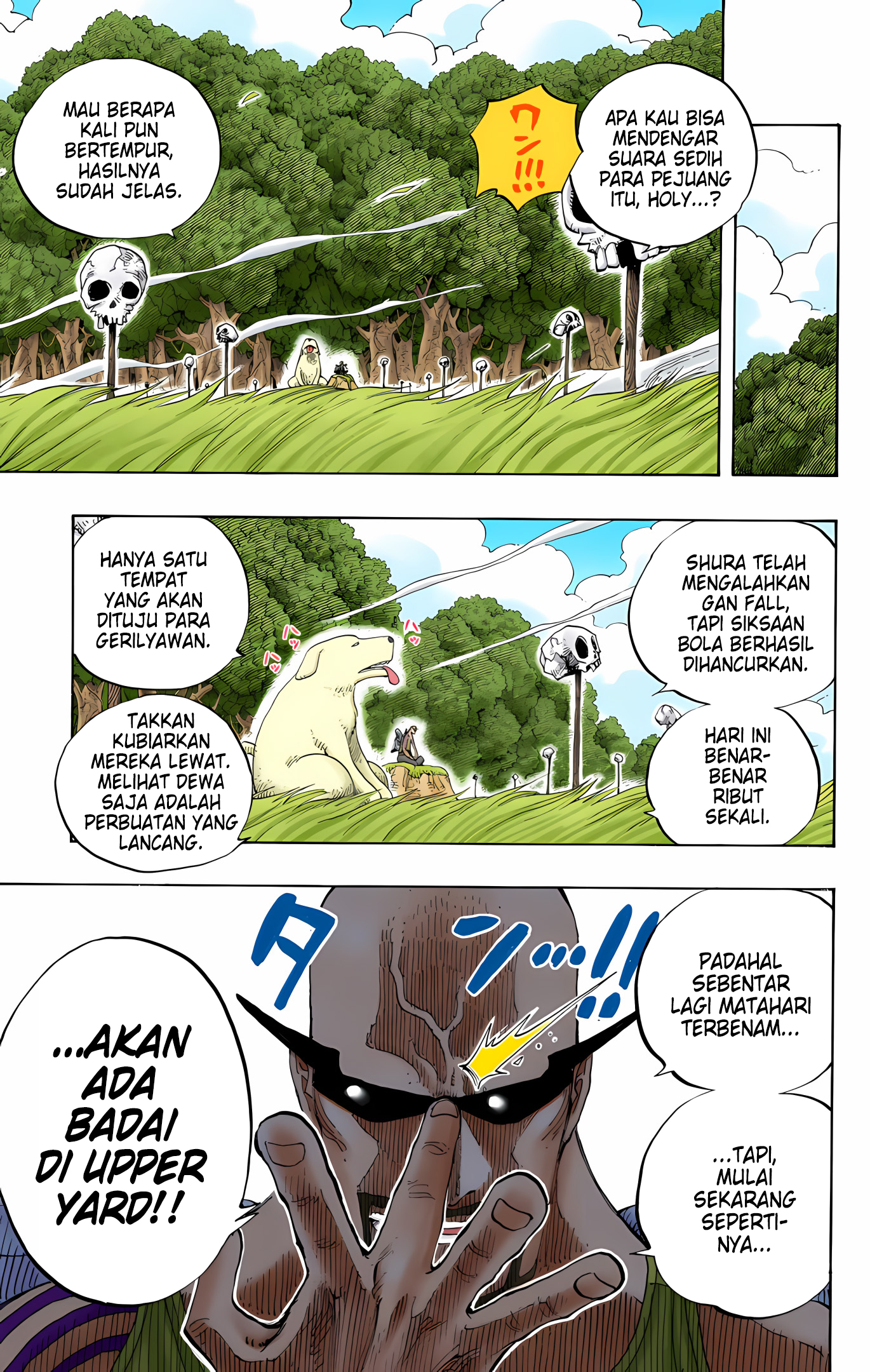 One Piece (Official Colored) Chapter 251 - halaman 9