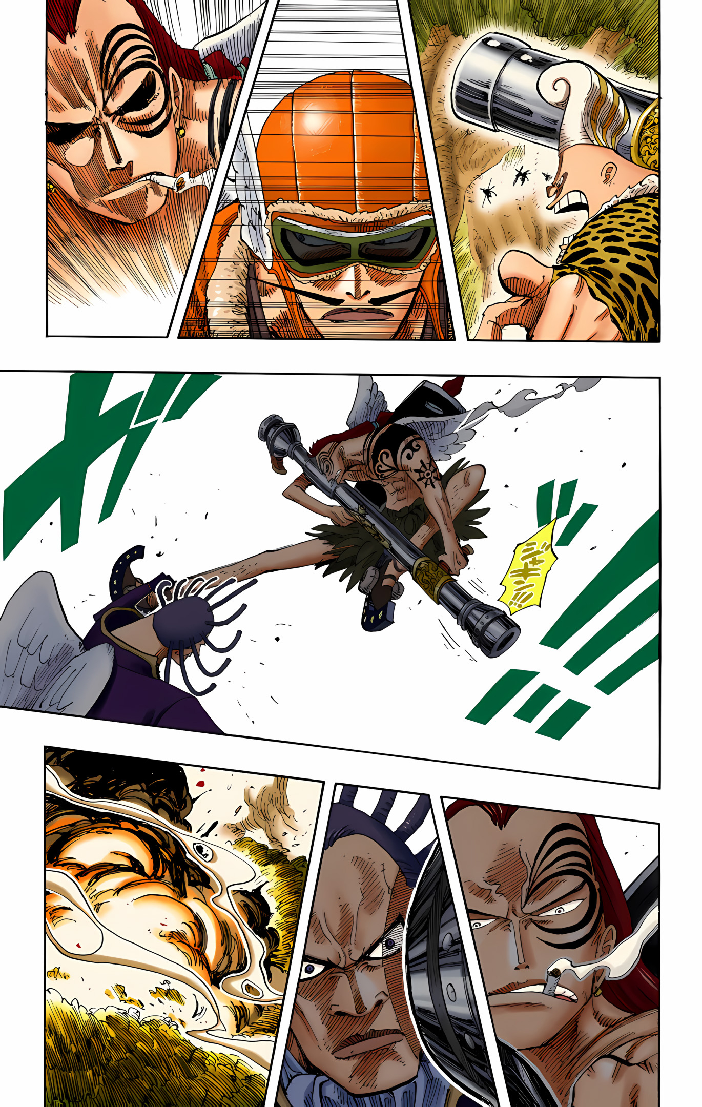 One Piece (Official Colored) Chapter 252 - halaman 13