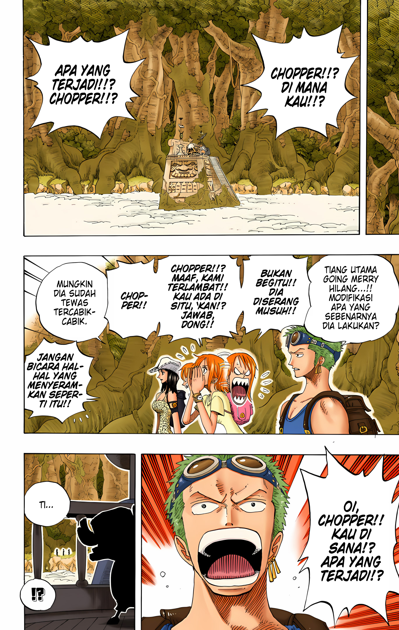 One Piece (Official Colored) Chapter 252 - halaman 14