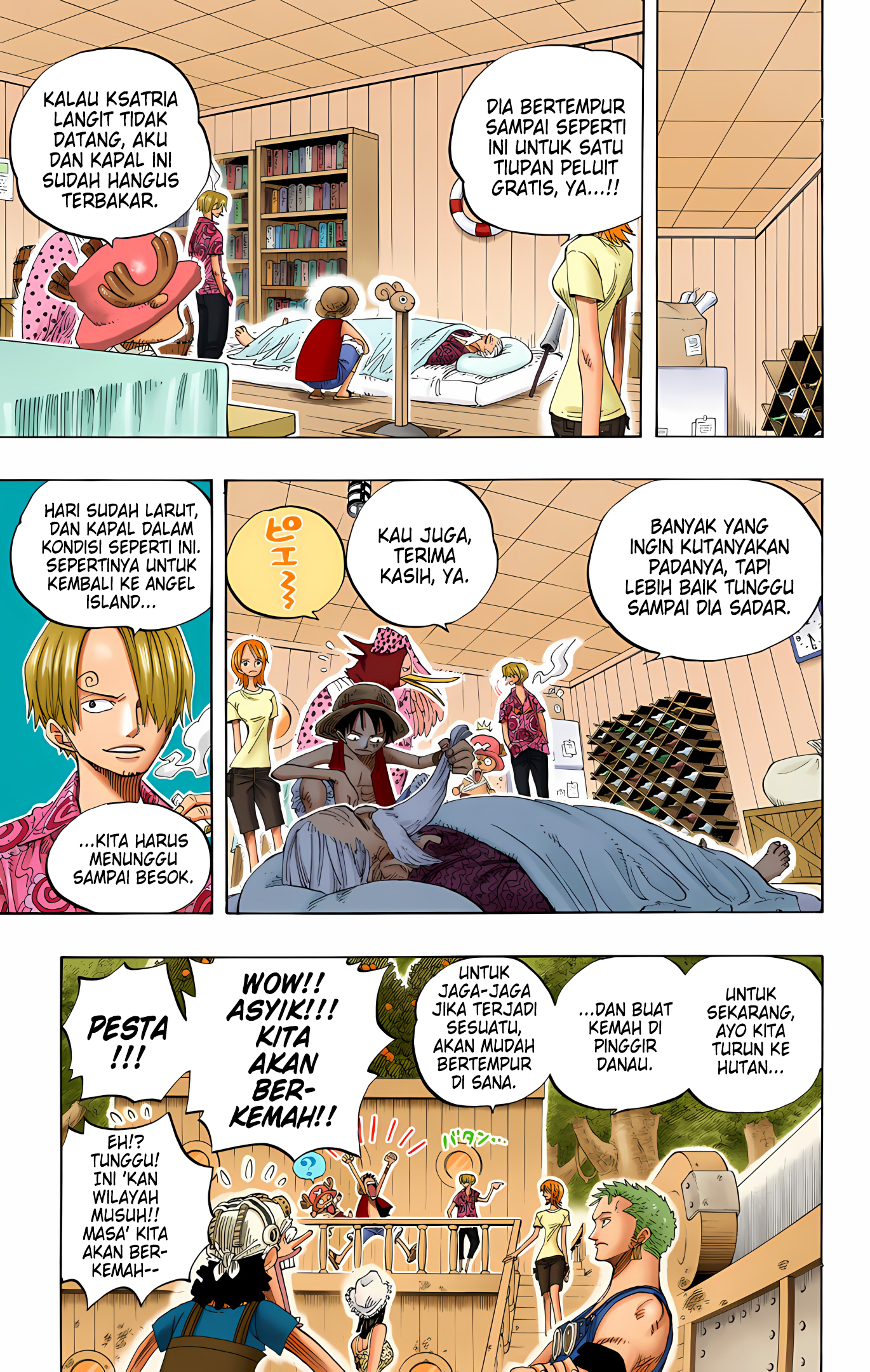 One Piece (Official Colored) Chapter 252 - halaman 17
