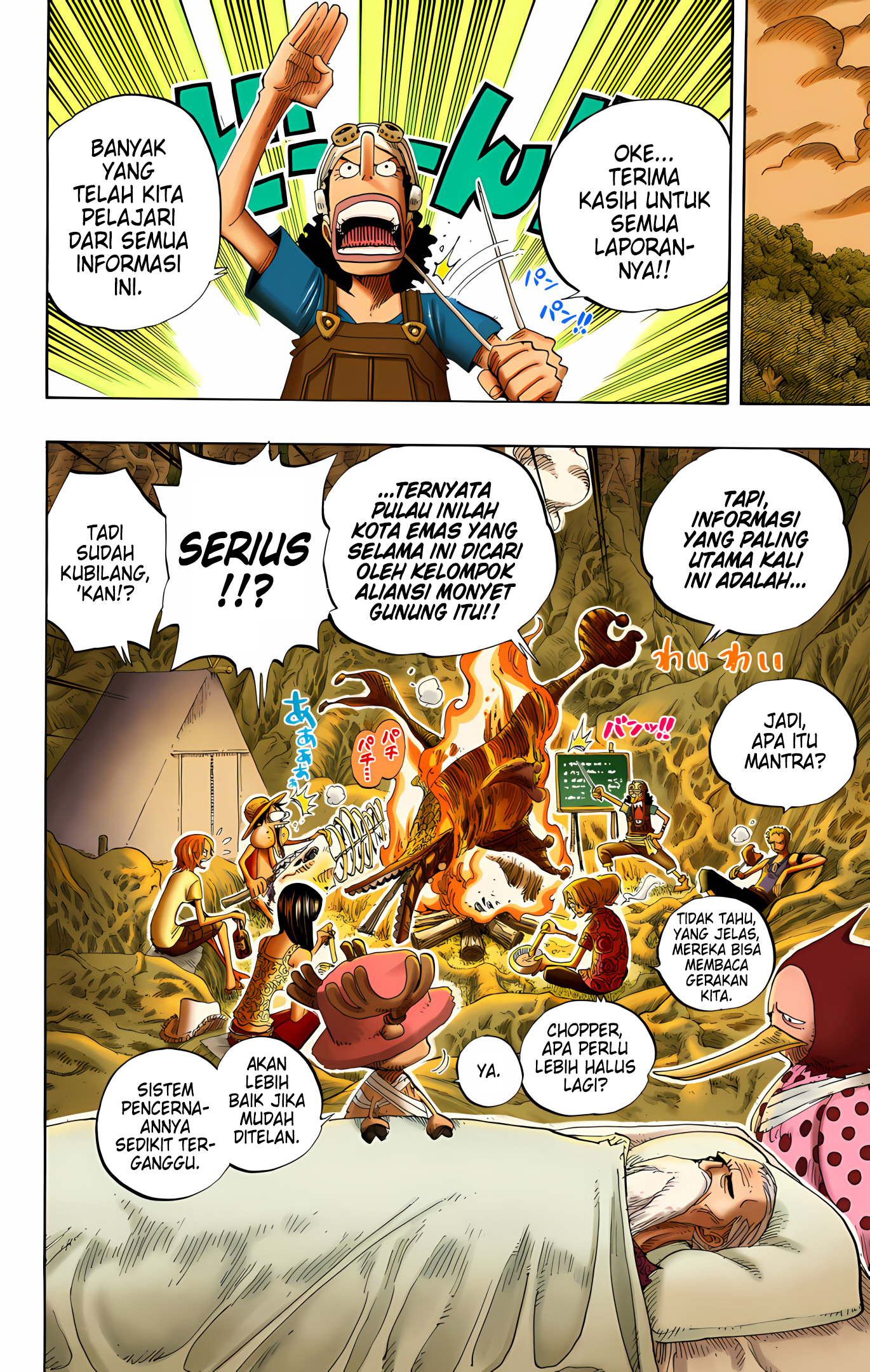 One Piece (Official Colored) Chapter 252 - halaman 18