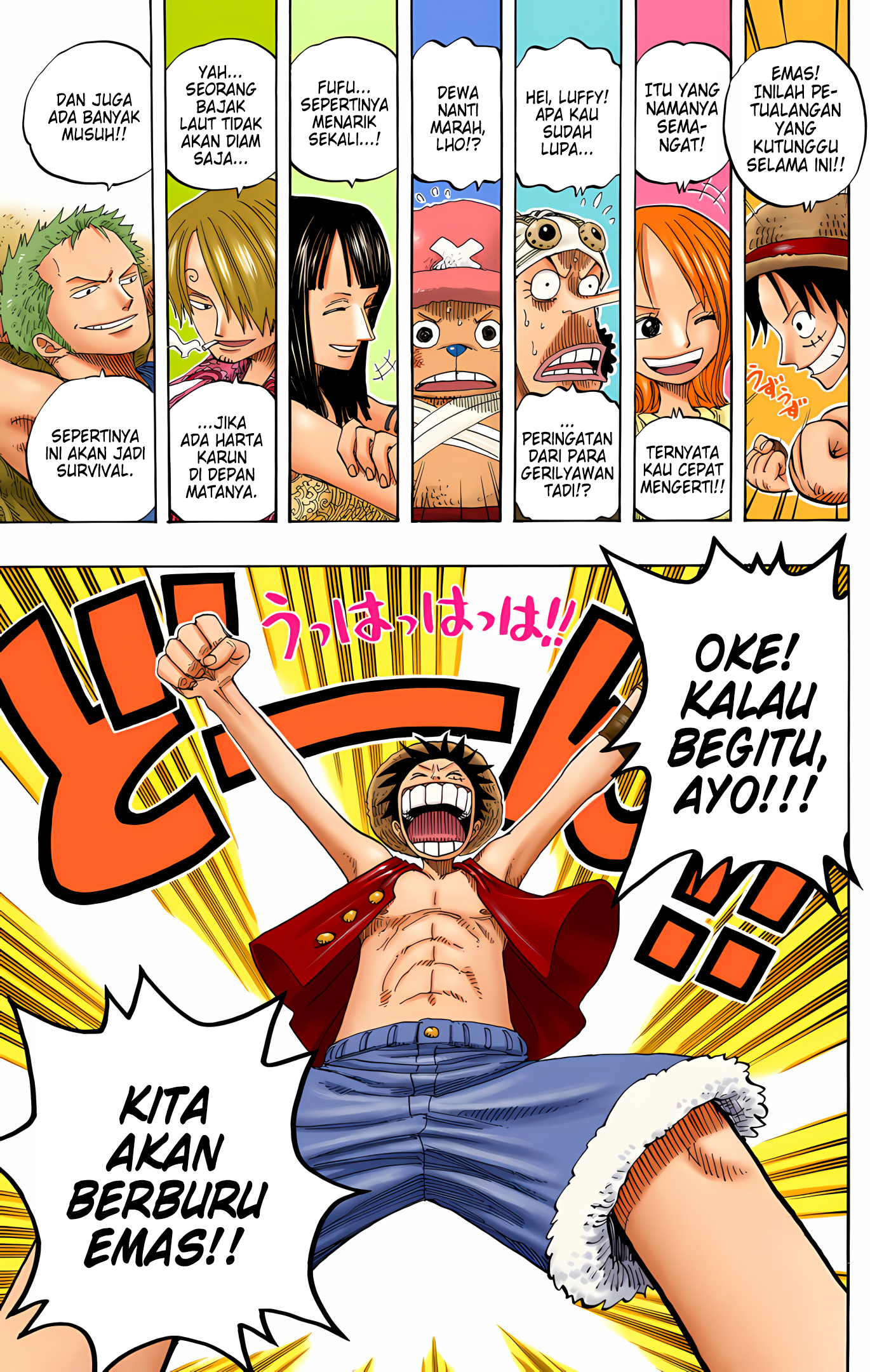 One Piece (Official Colored) Chapter 252 - halaman 19