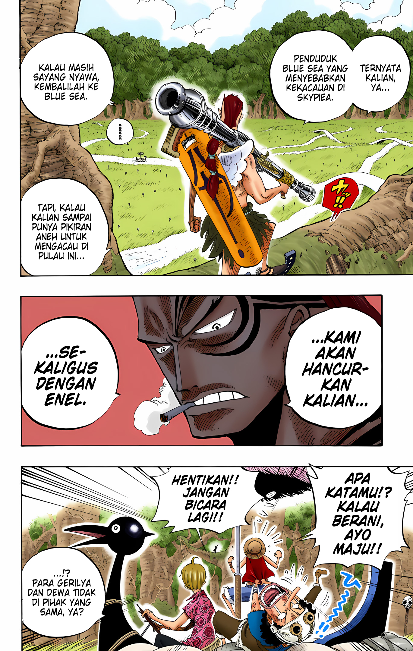 One Piece (Official Colored) Chapter 252 - halaman 8
