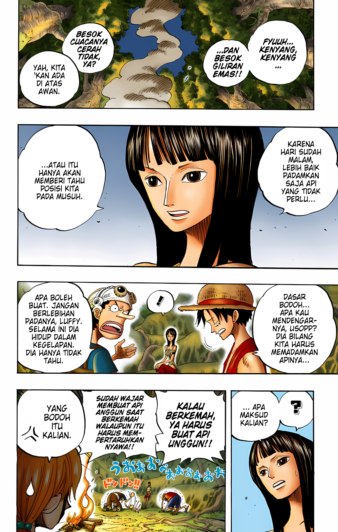 One Piece (Official Colored) Chapter 253 - halaman 12