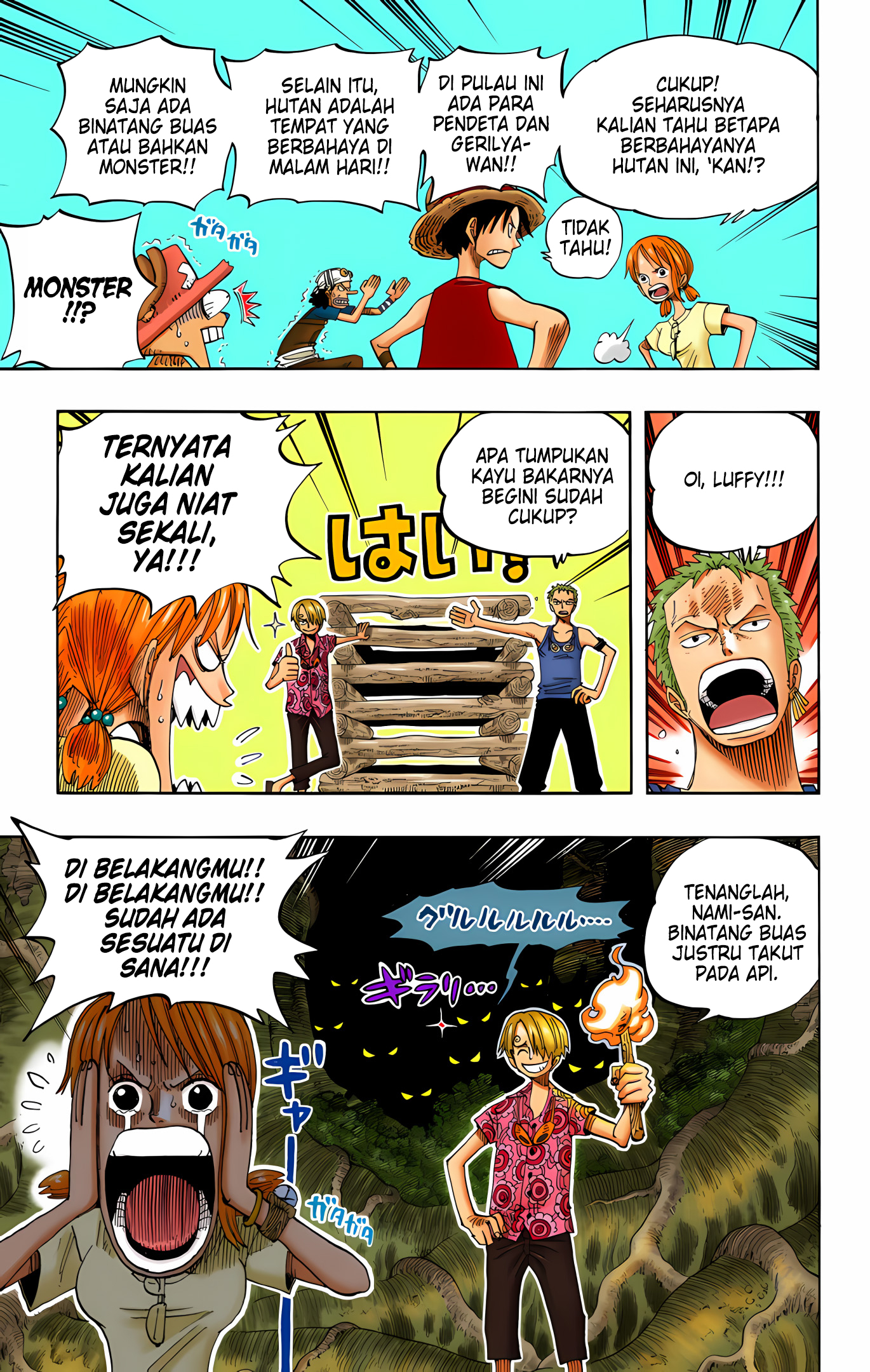 One Piece (Official Colored) Chapter 253 - halaman 13