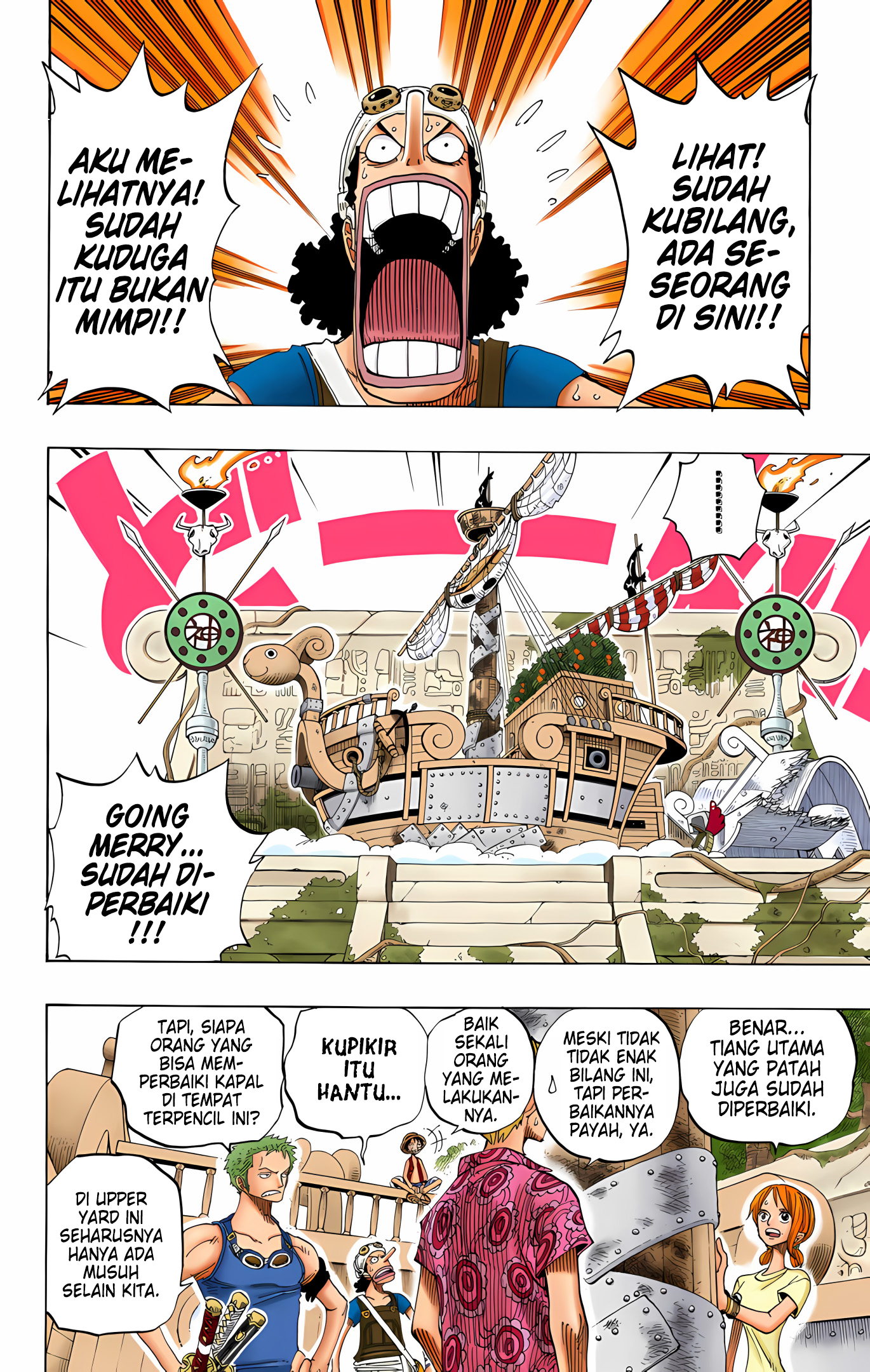 One Piece (Official Colored) Chapter 254 - halaman 14