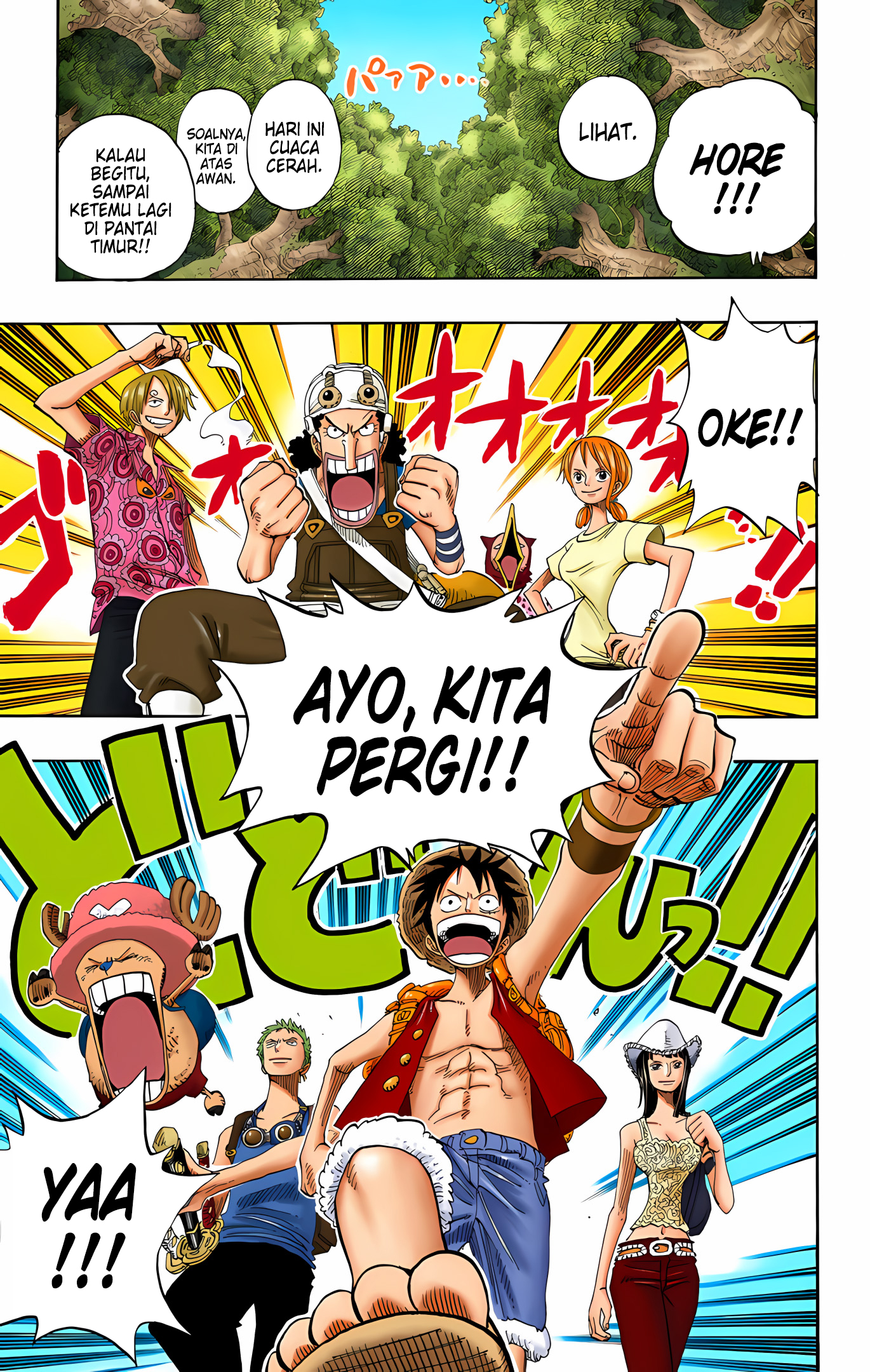 One Piece (Official Colored) Chapter 254 - halaman 17