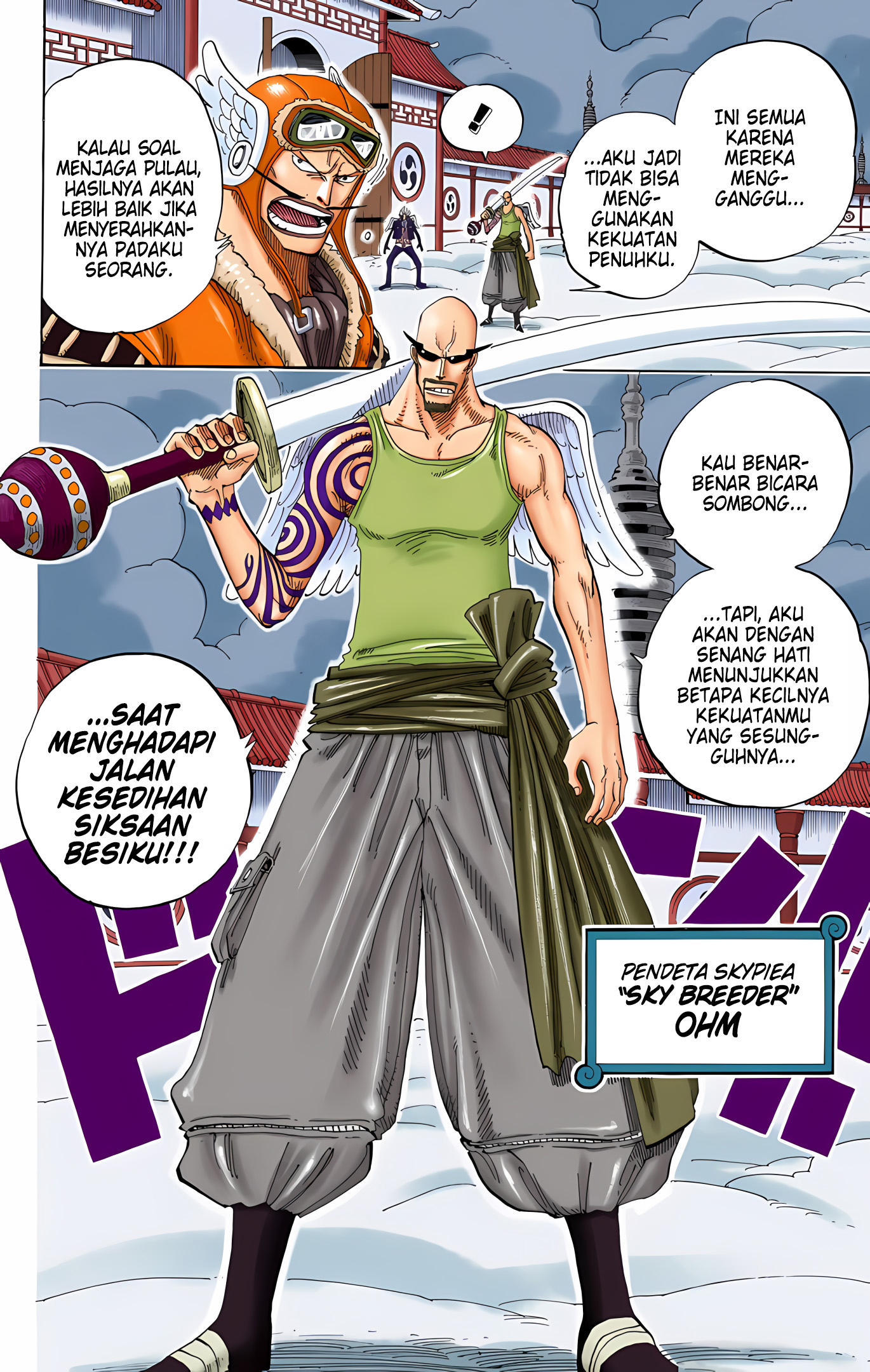 One Piece (Official Colored) Chapter 254 - halaman 8