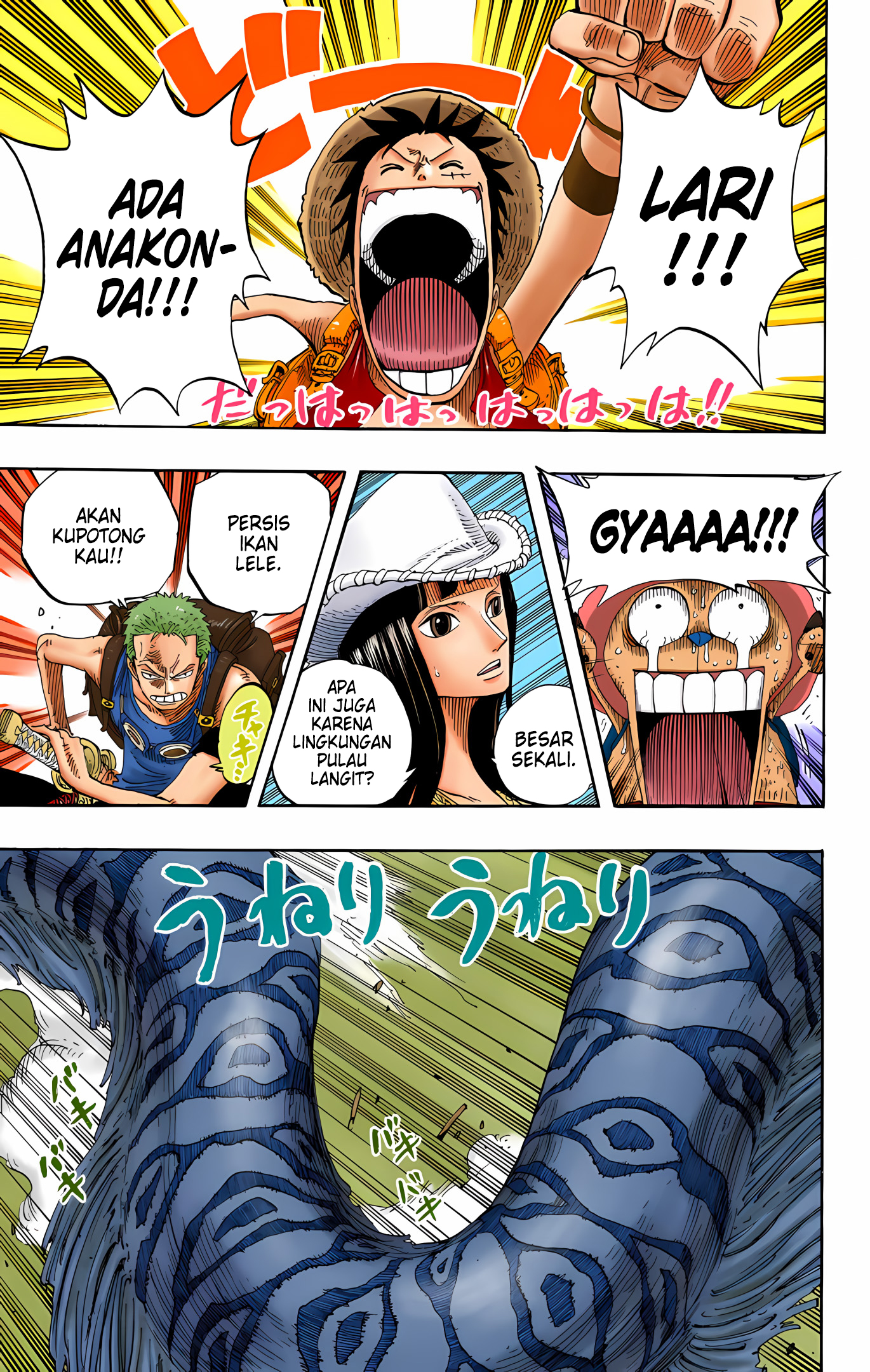 One Piece (Official Colored) Chapter 255 - halaman 13