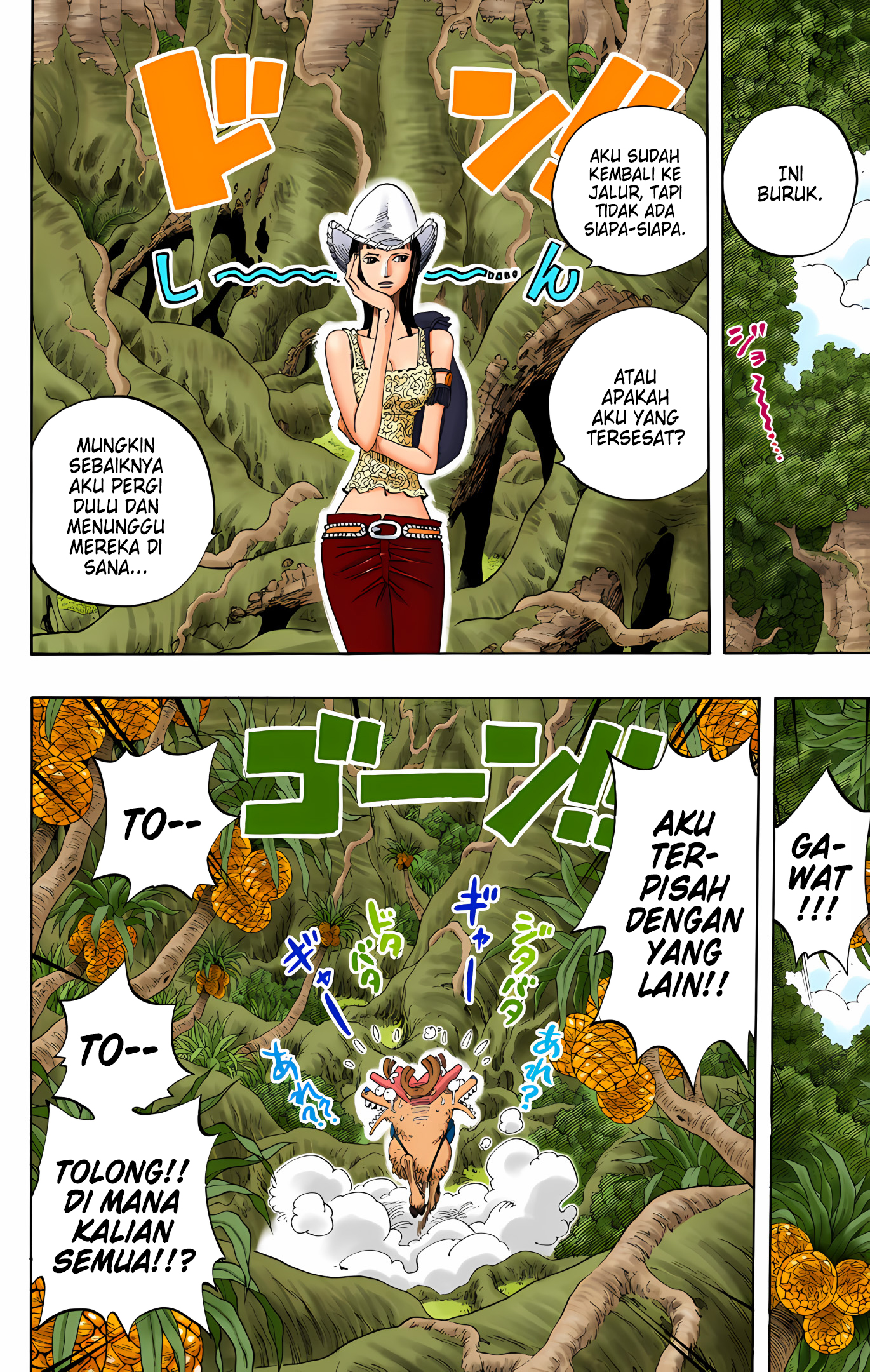 One Piece (Official Colored) Chapter 255 - halaman 18