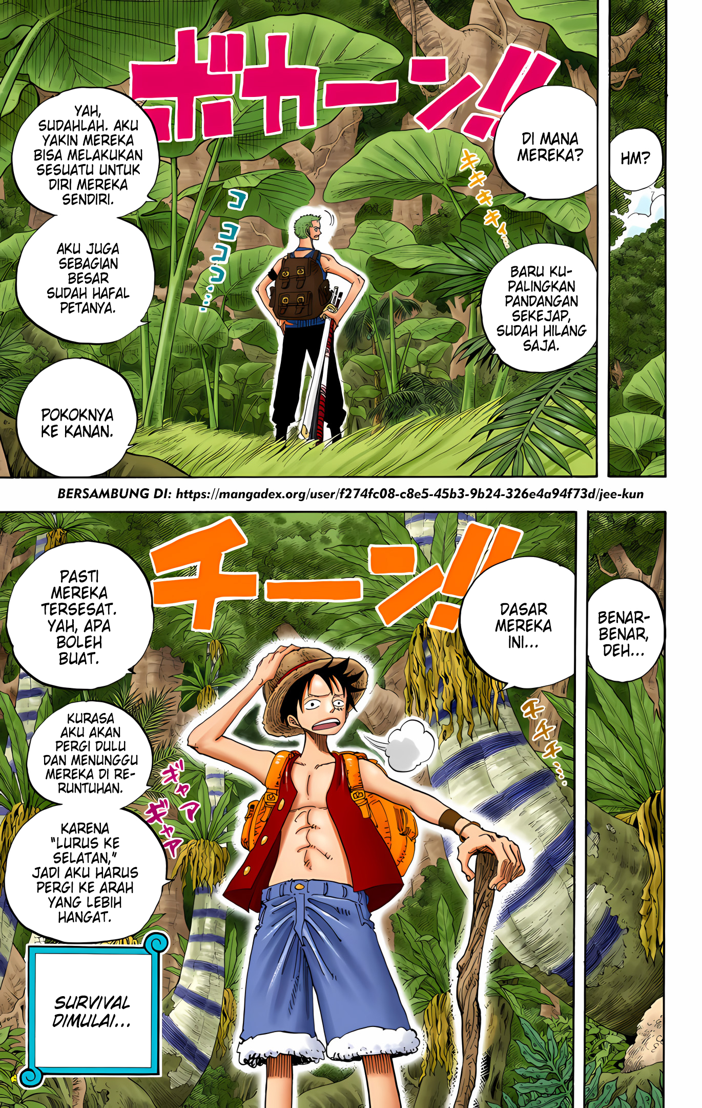 One Piece (Official Colored) Chapter 255 - halaman 19