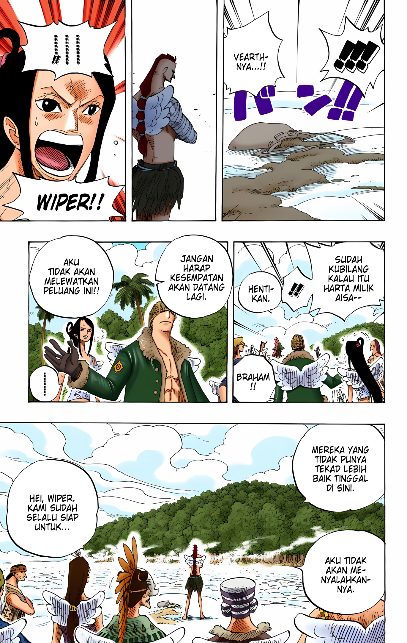 One Piece (Official Colored) Chapter 256 - halaman 11